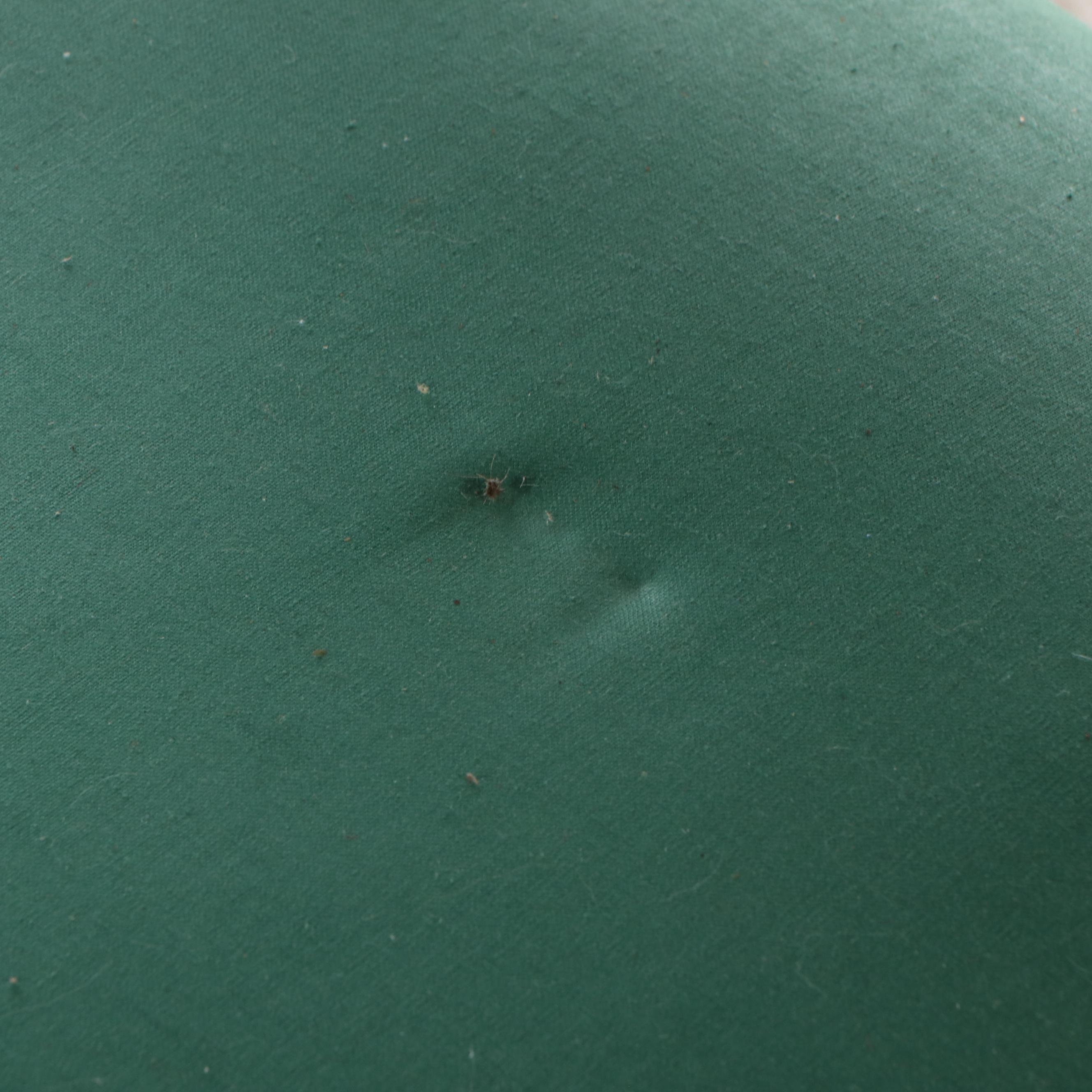 Victorian Carved Oak Framed Parlor Set with Settee, Armchair, and Side Chair