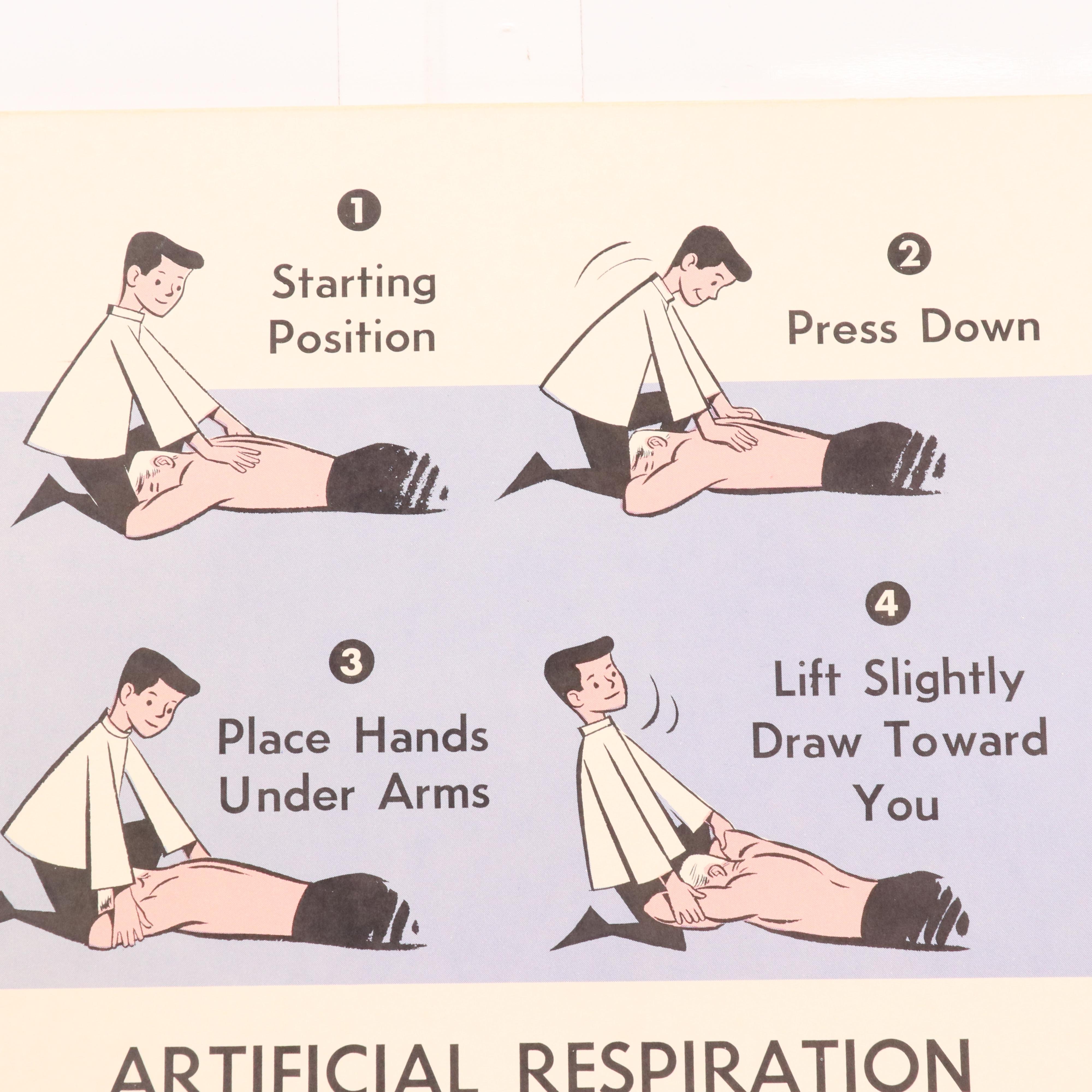 Medical Illustration Posters After James Palmer  "The Human Body," 1958