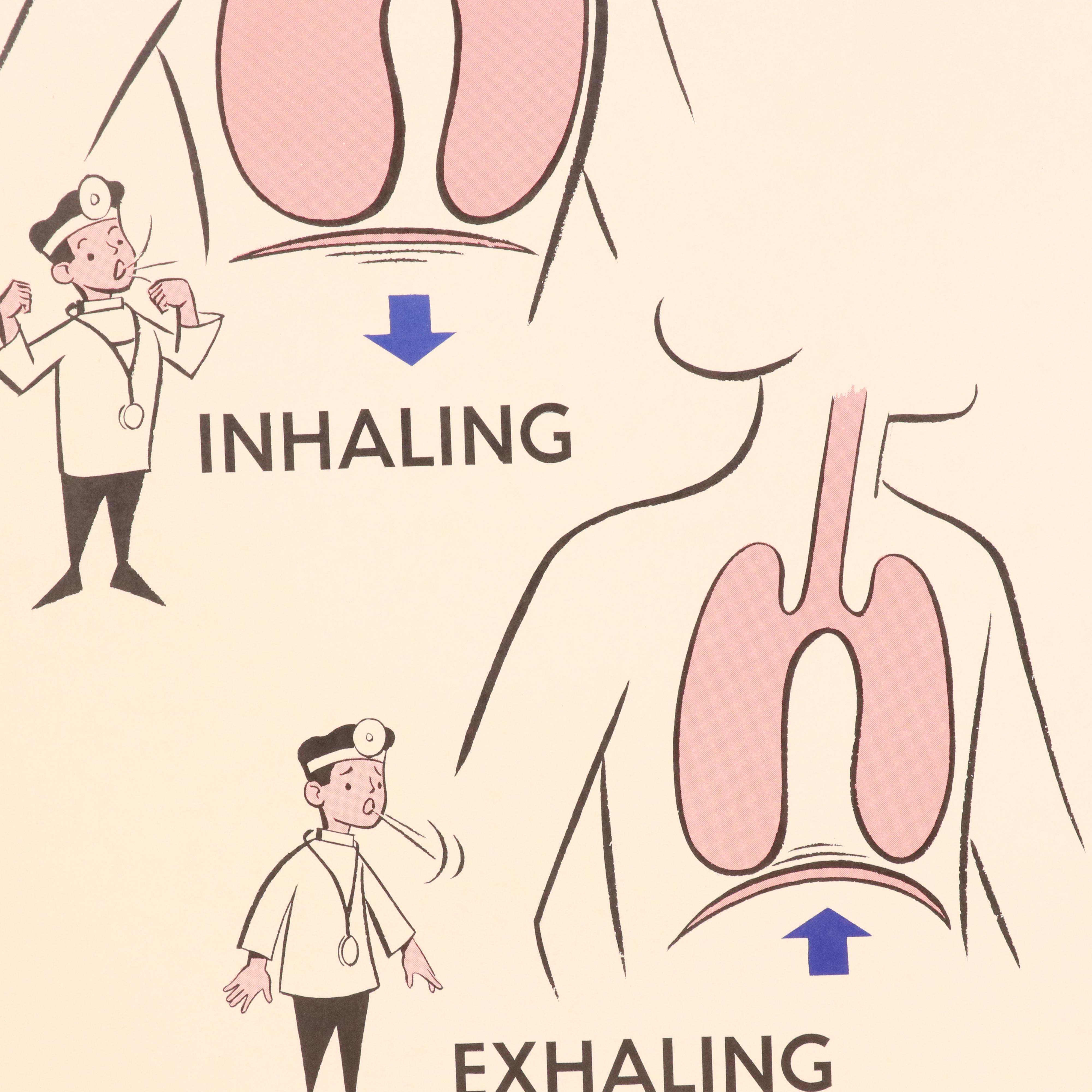 Medical Illustration Posters After James Palmer  "The Human Body," 1958