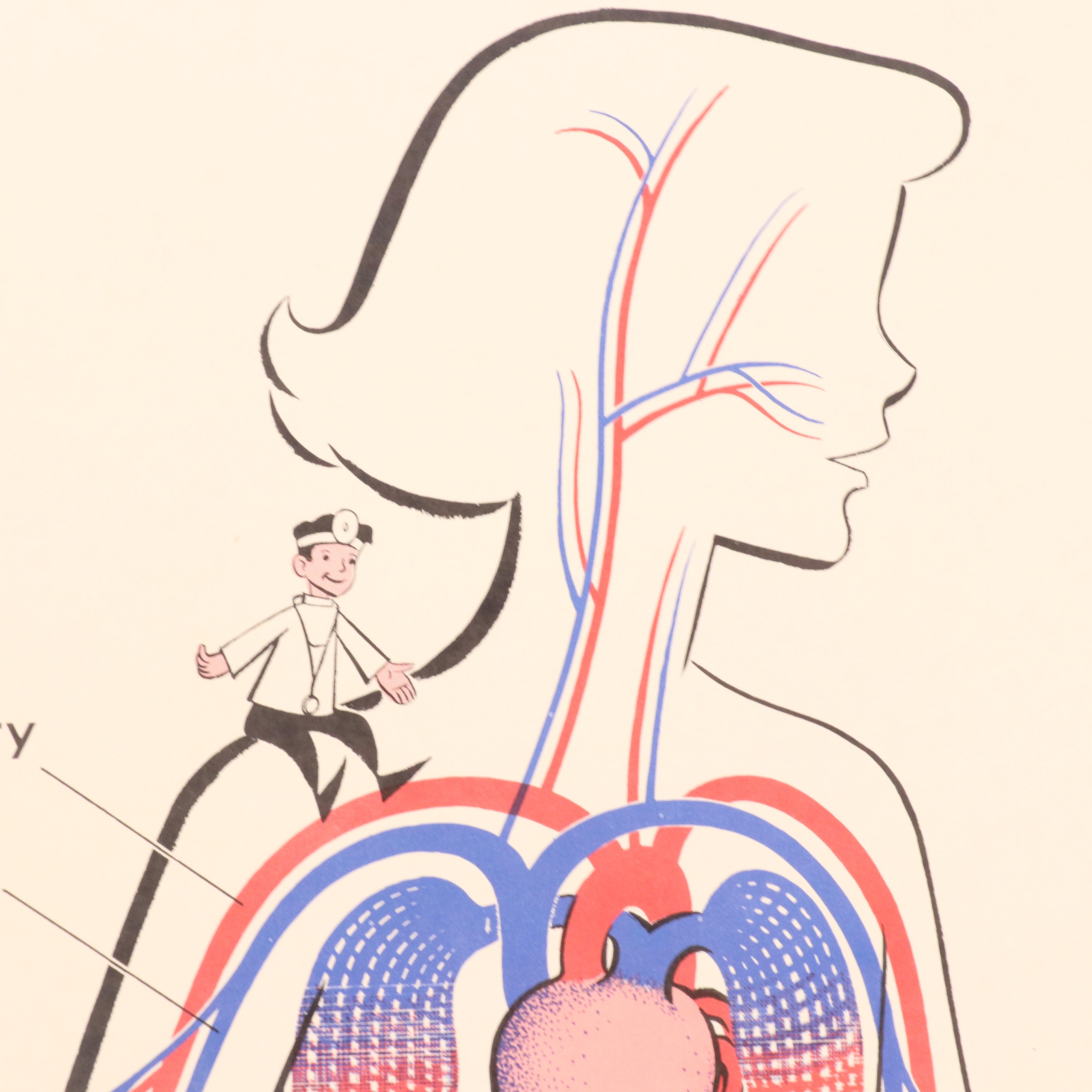 Medical Illustration Posters After James Palmer  "The Human Body," 1958