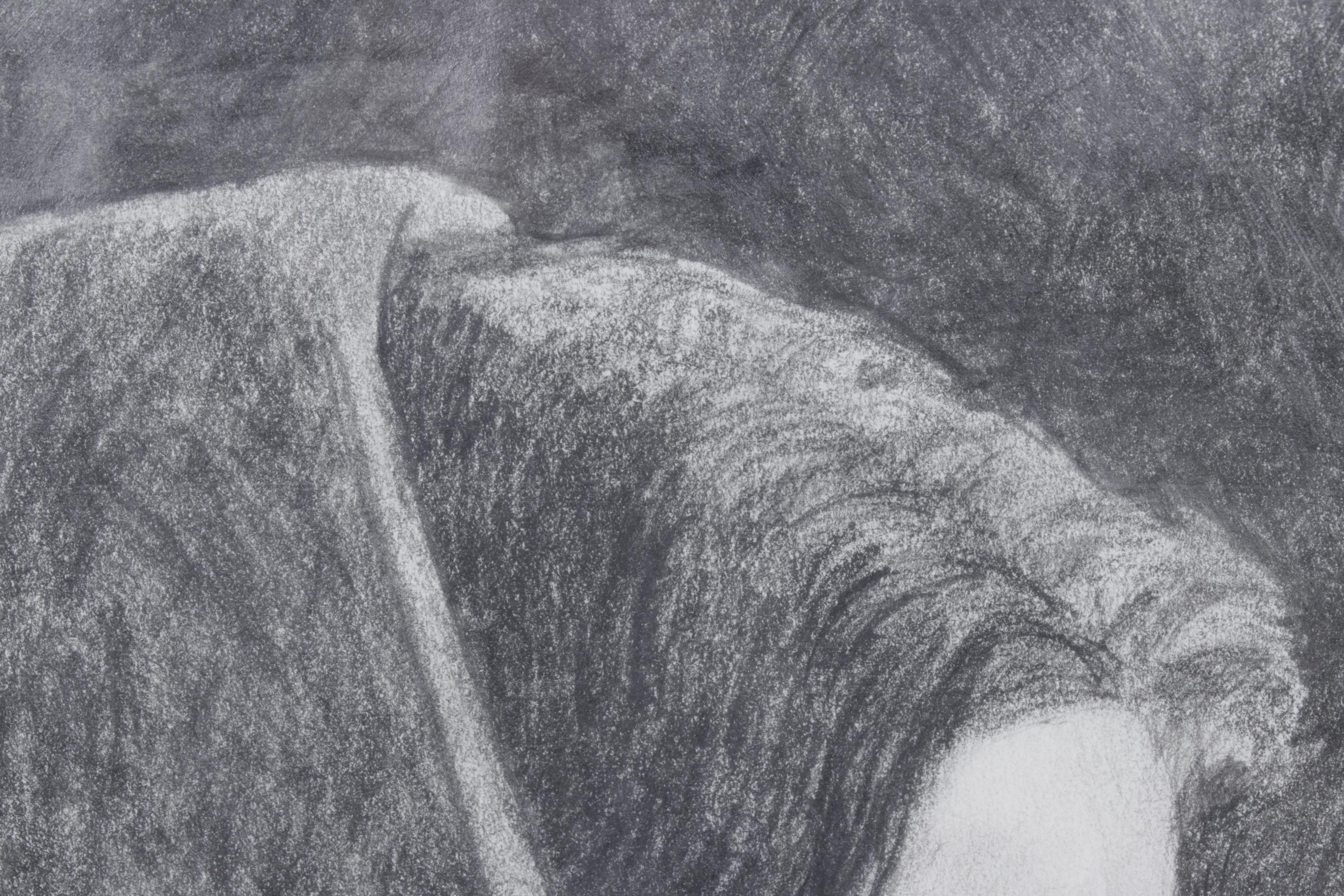 Charcoal Drawn Portrait of Woman Wearing a Shawl, 1991