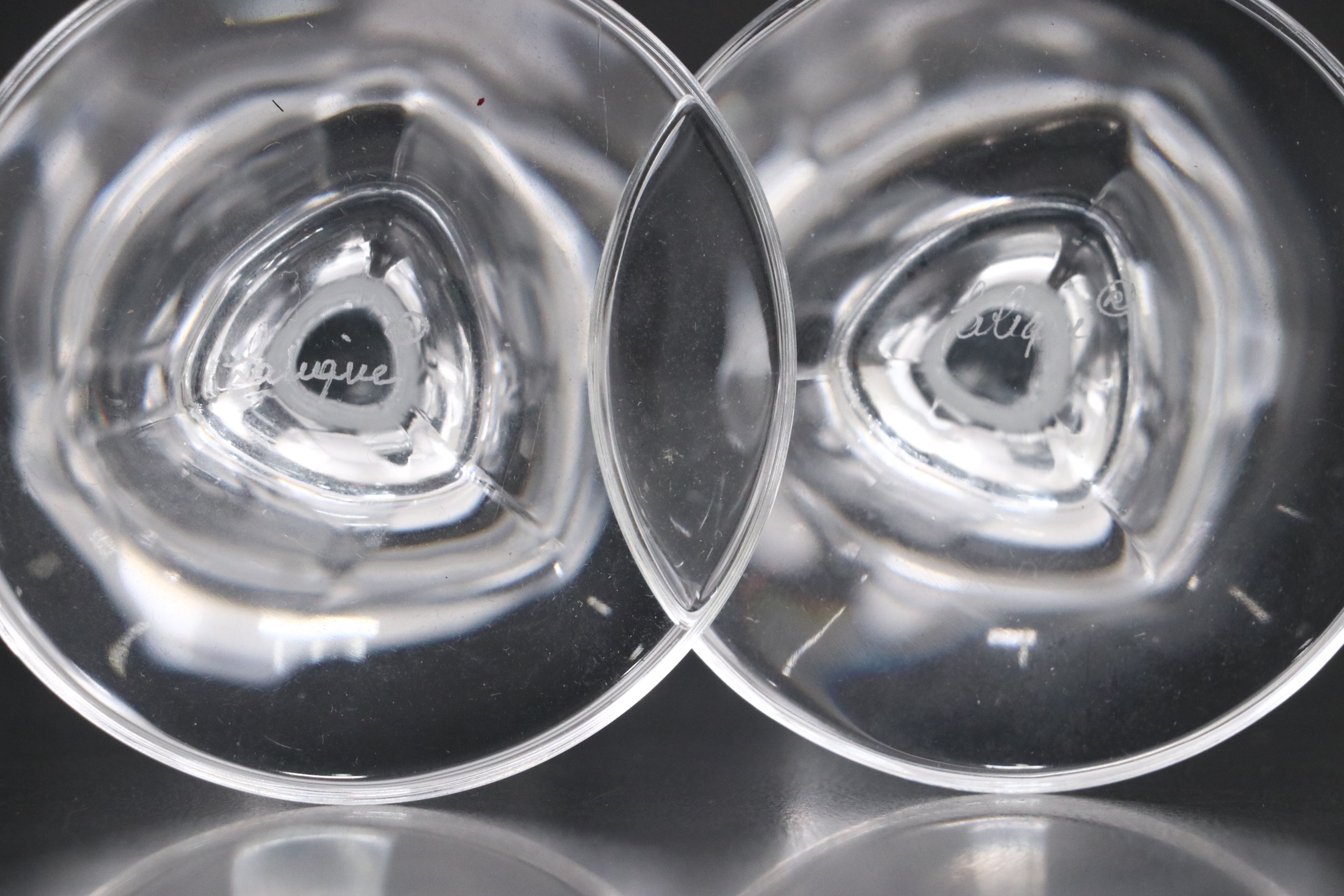 Lalique "Chardon" Frosted and Clear Crystal Thistle Stem Champagne Flutes