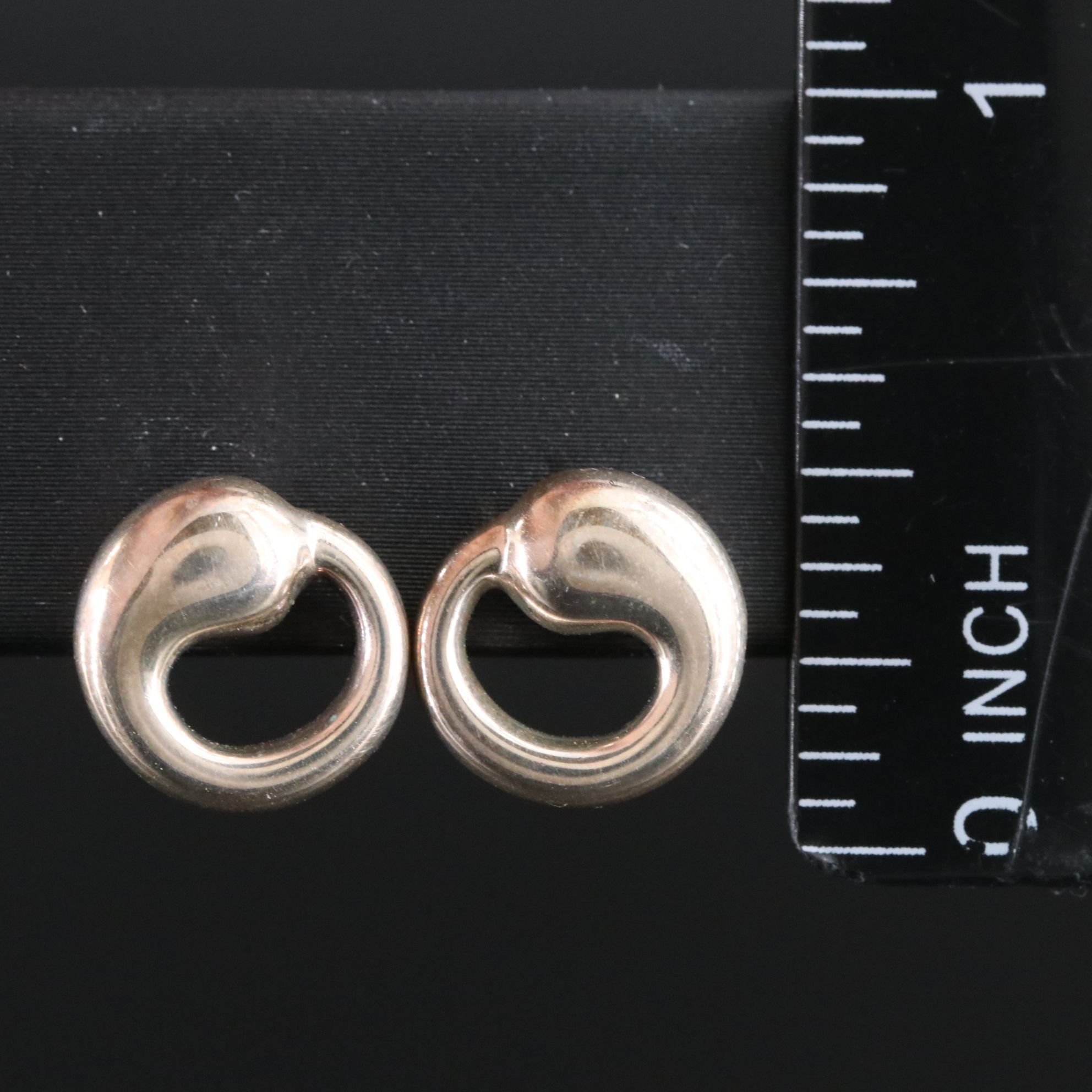 Elsa Peretti for Tiffany & Co. Sterling Eternal Circle Earrings