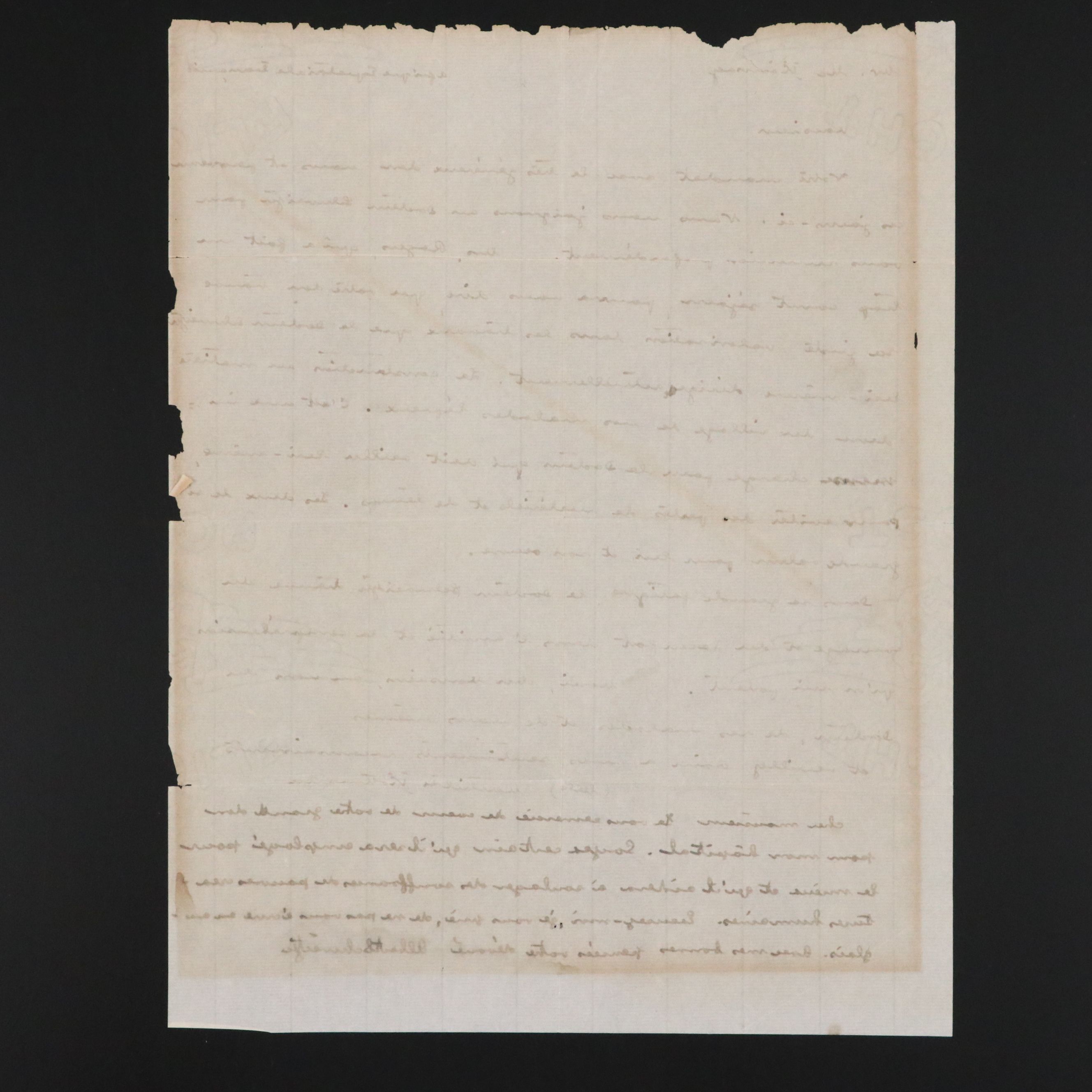 Albert Schweitzer Letter of Gratitude