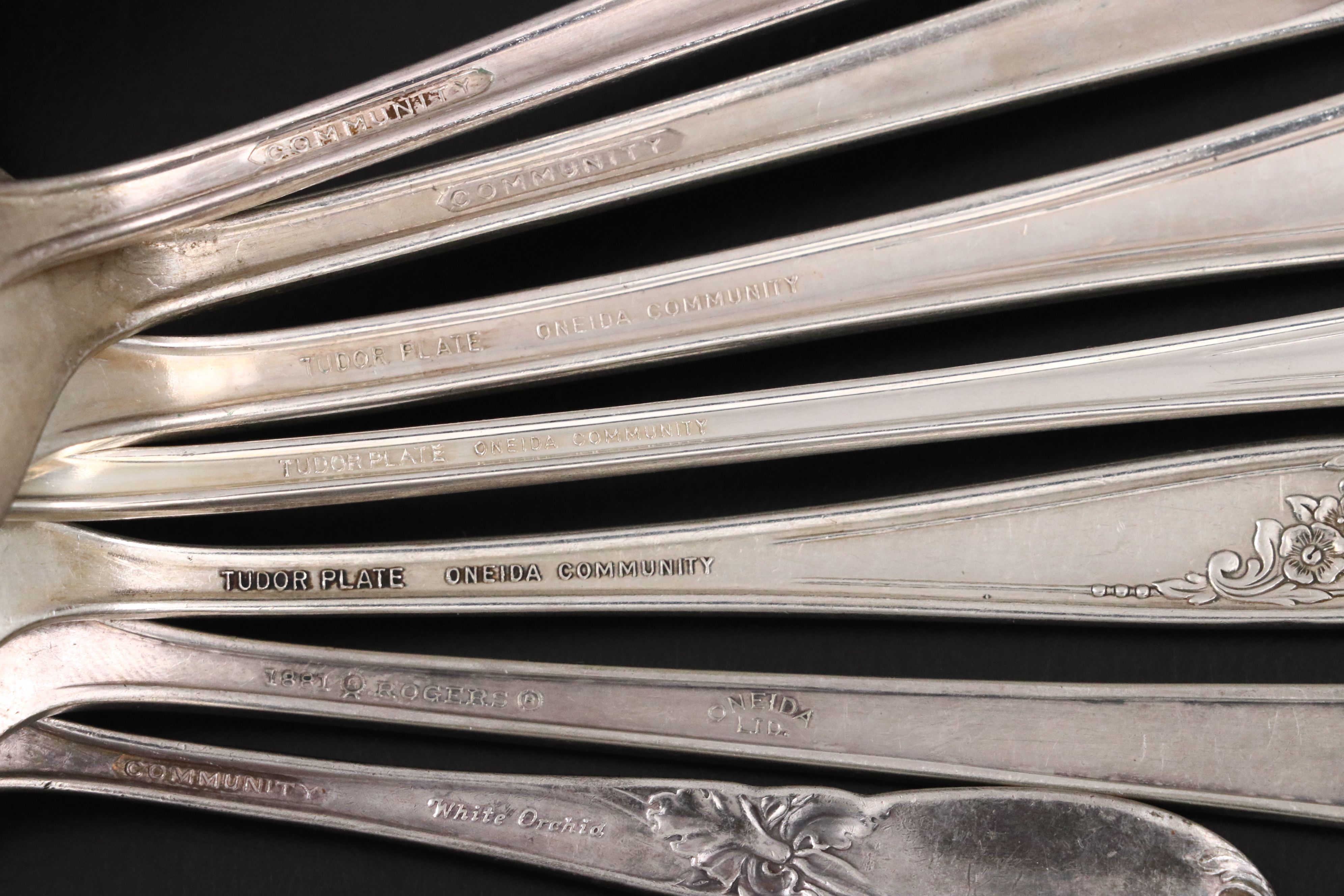 Oneida Community "Evening Star" with 1881 Rogers "Del Mar" Silver Plate Flatware