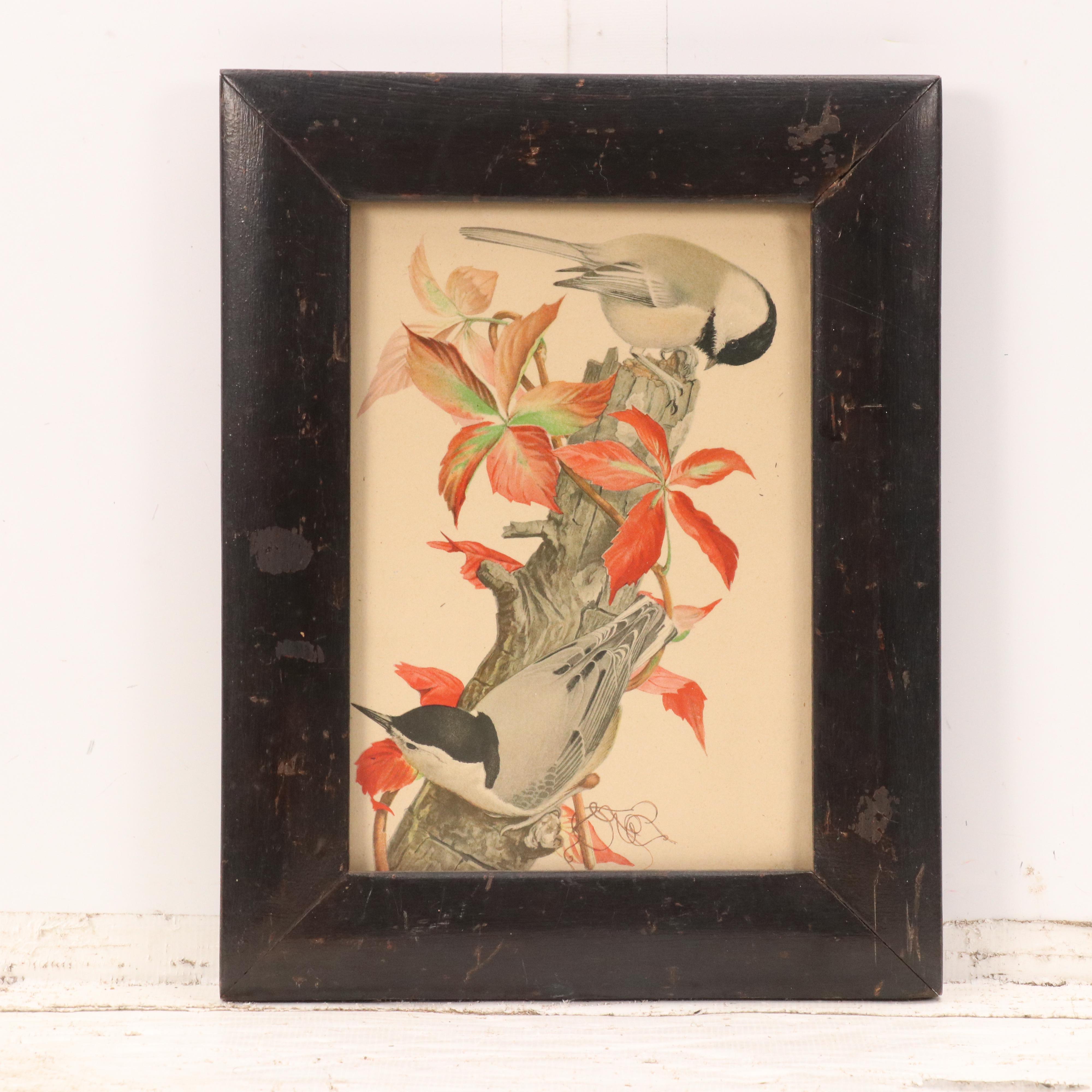 Hand-Colored Portrait Photograph of Young Boy and Various Prints