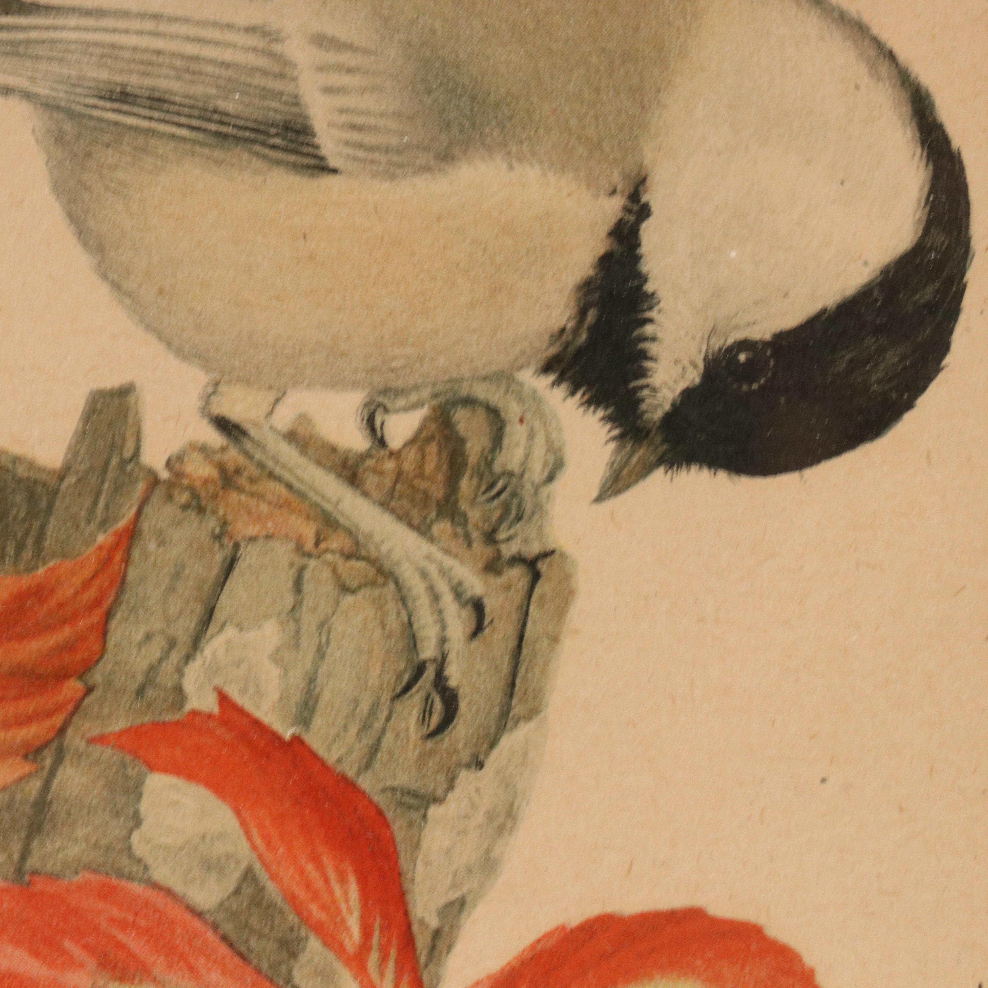 Hand-Colored Portrait Photograph of Young Boy and Various Prints