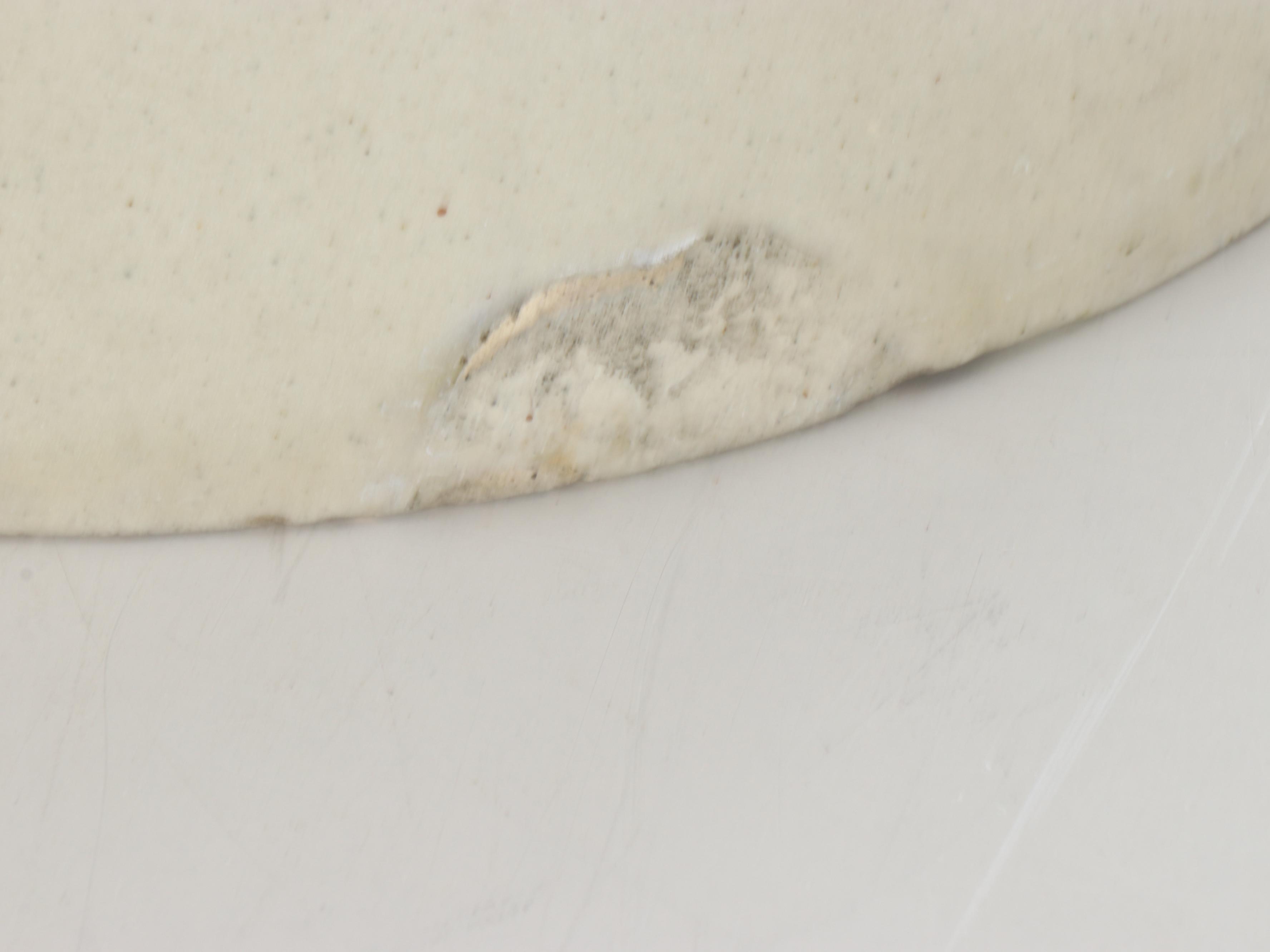 Robinson Ransbottom Crown with Other Two-Tone Five Gallon Stoneware Crocks