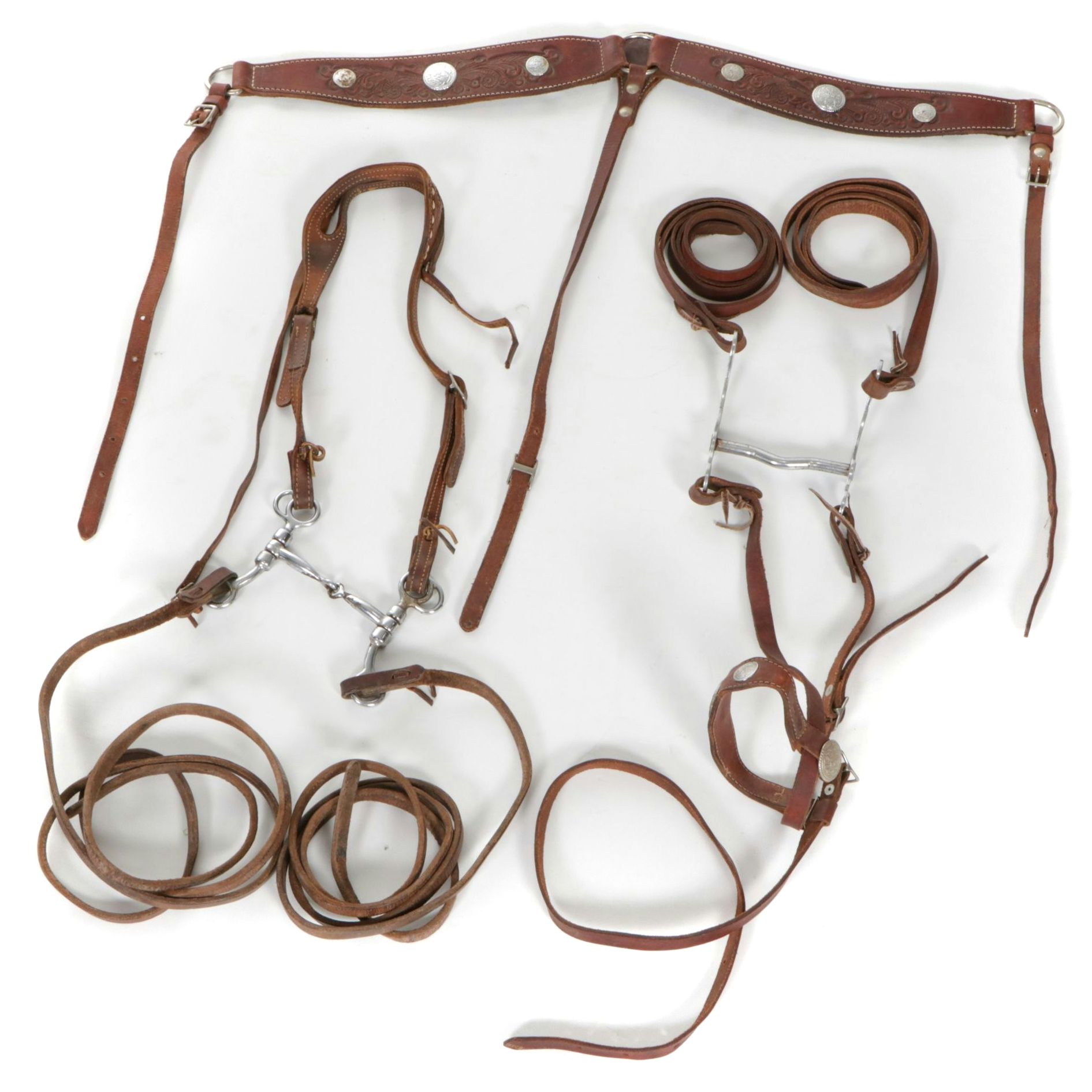 Stamped Leather Horse Bridle, Collar & Bit