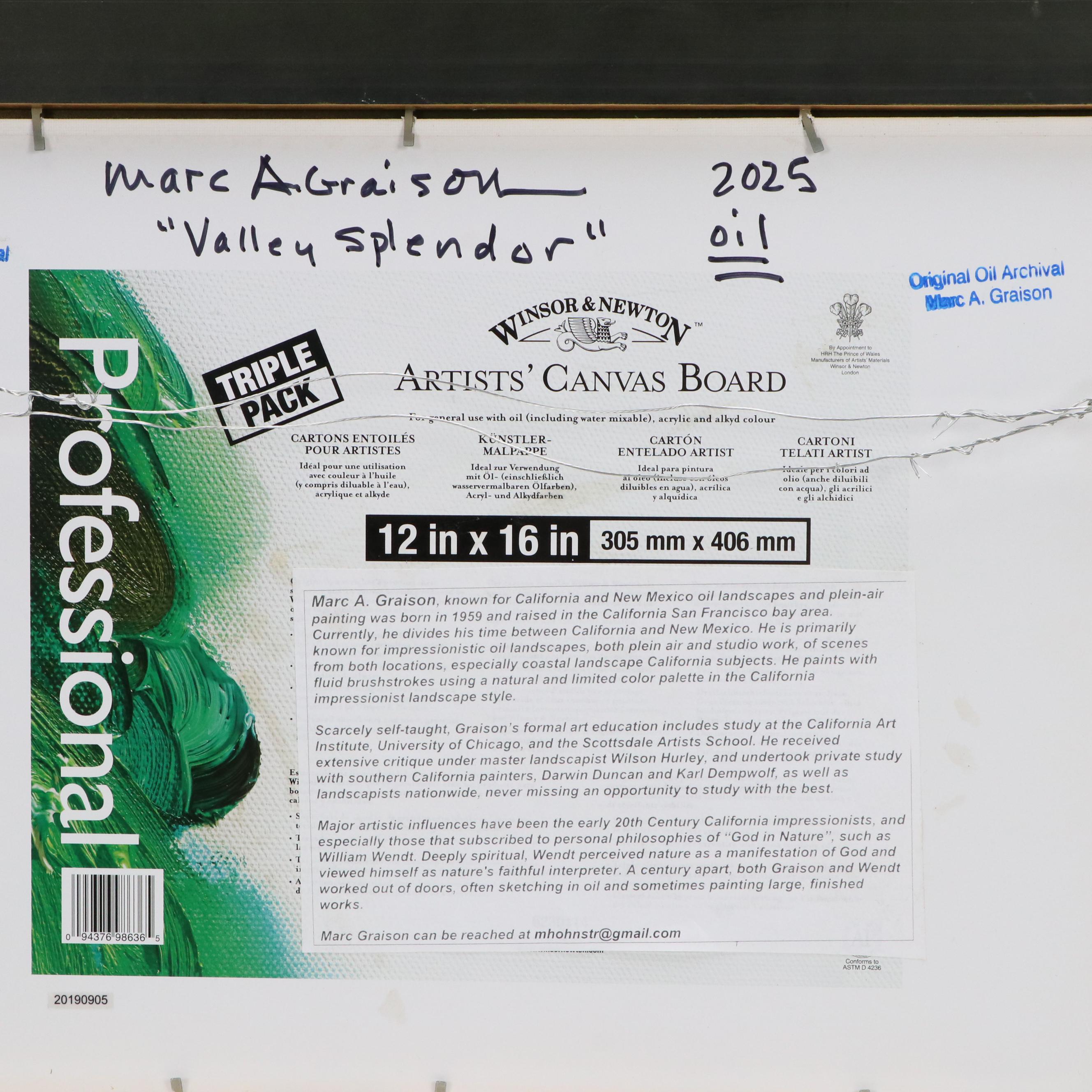 Marc A. Graison Landscape Oil Painting "Valley Splendor," 2025