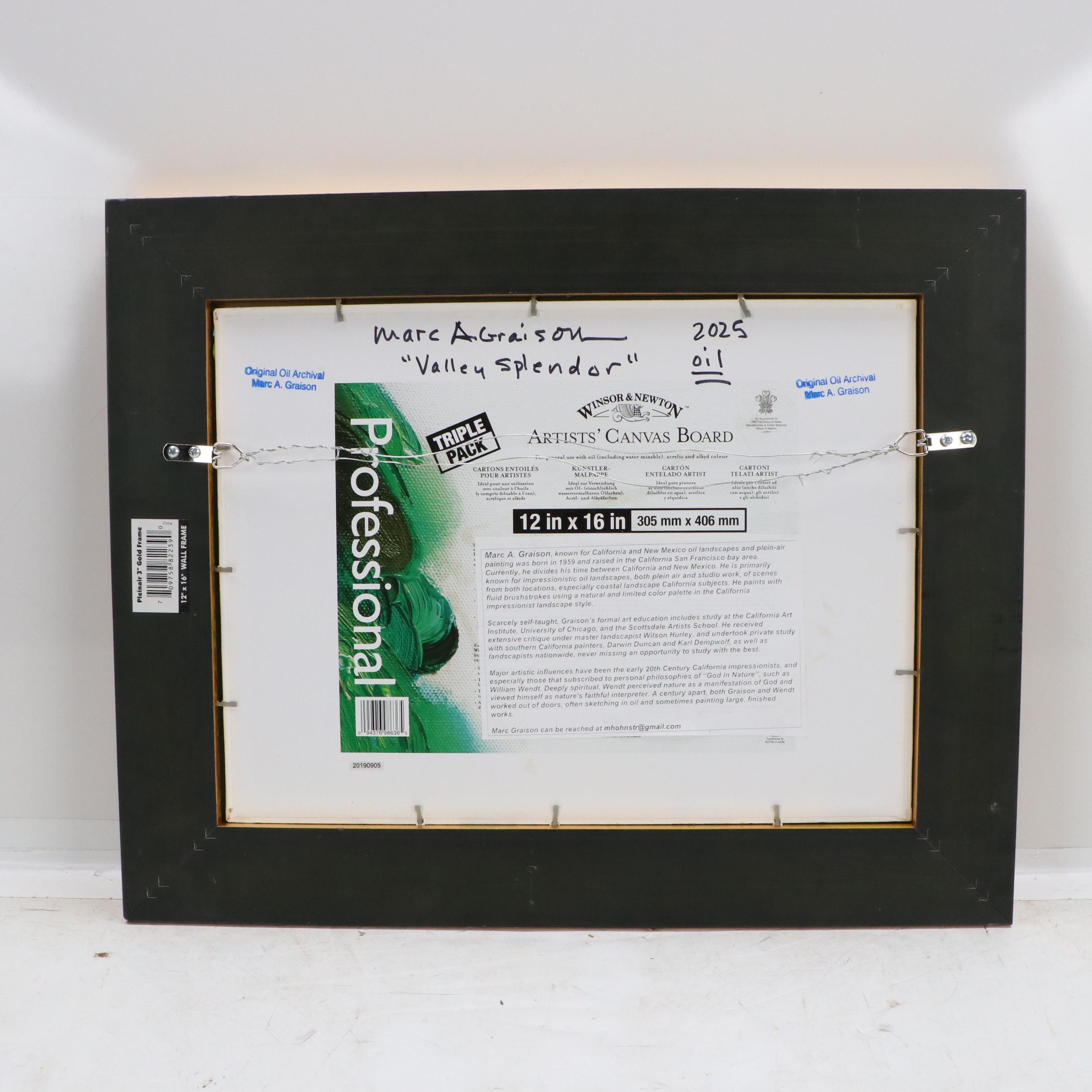 Marc A. Graison Landscape Oil Painting "Valley Splendor," 2025