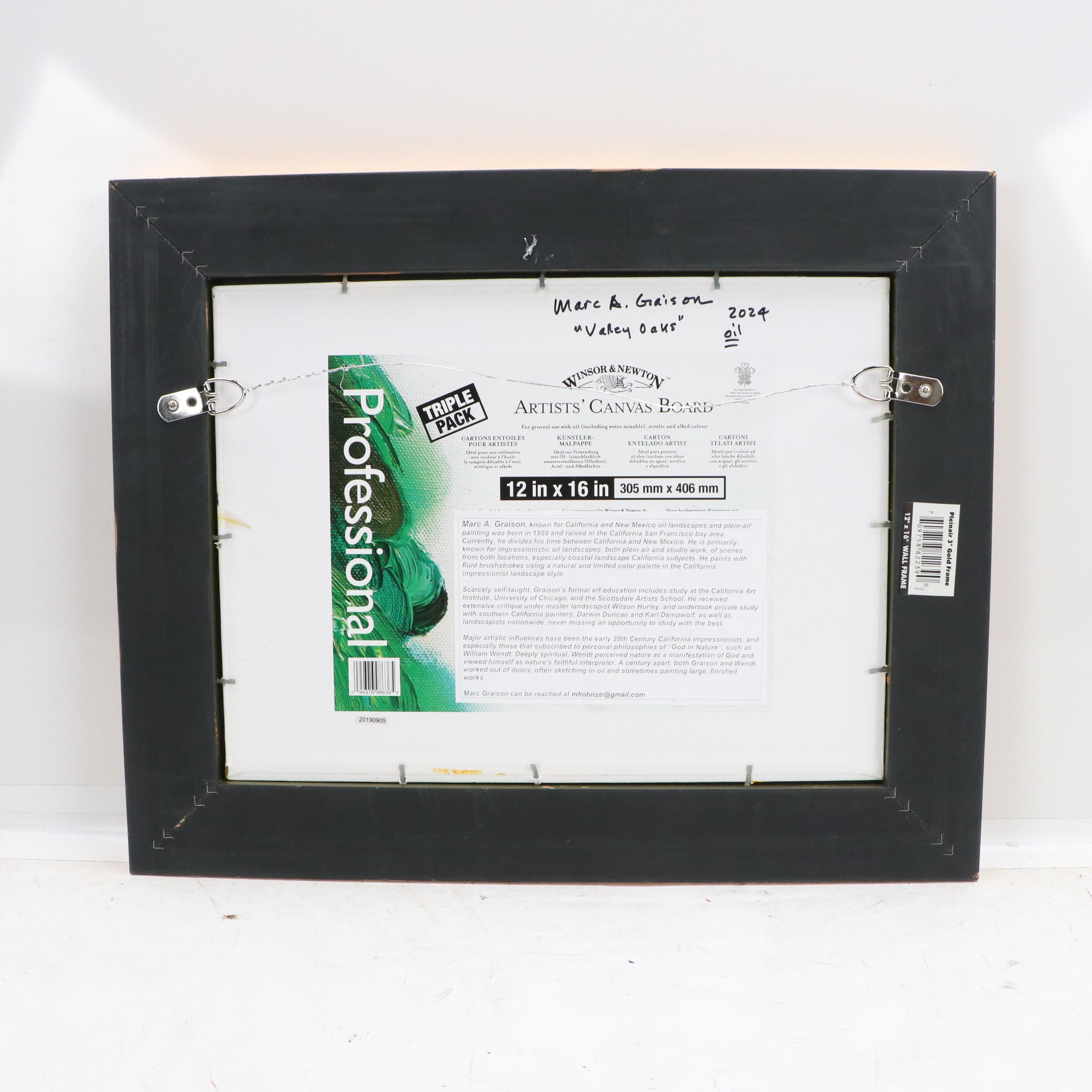 Marc A. Graison Landscape Oil Painting "Valley Oaks," 2024