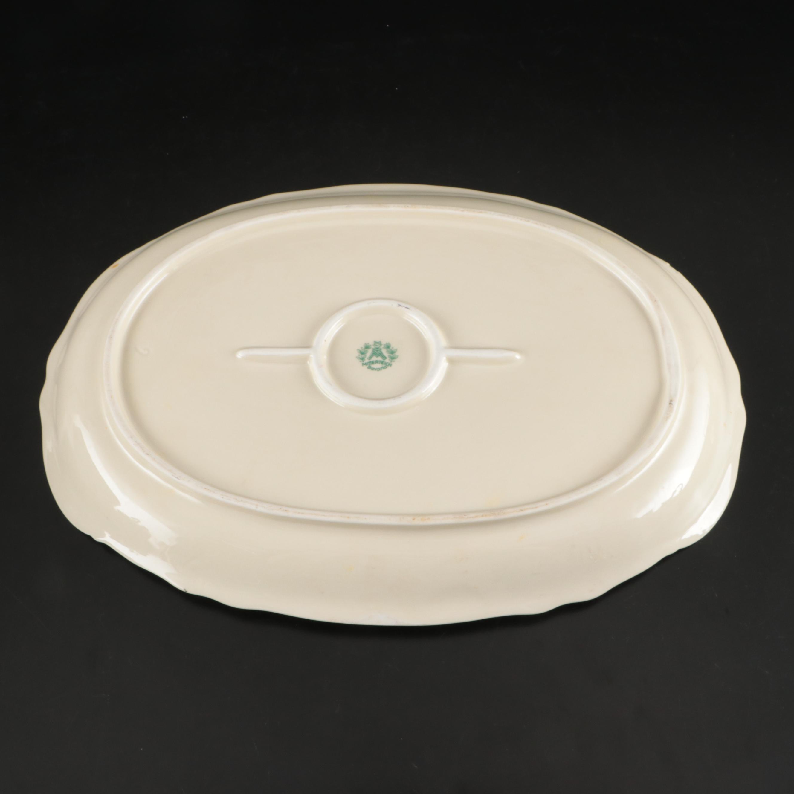 Mitterteich Floral Silver Rimmed Porcelain Dinnerware, Early to Mid-20th C.