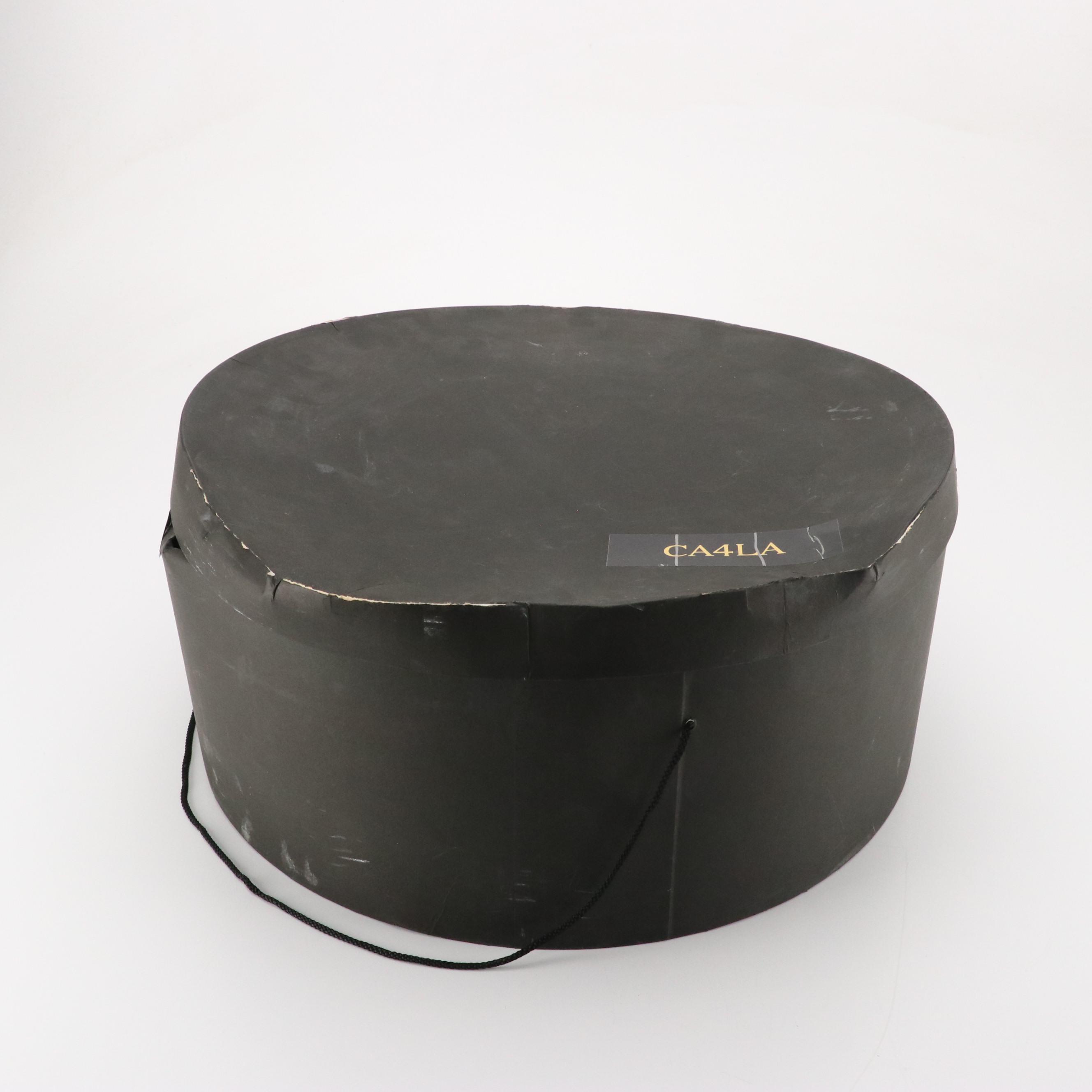 Bailey Tomlin Wide Brim Summer Hat and Other Fascinator Headbands with Hat Box