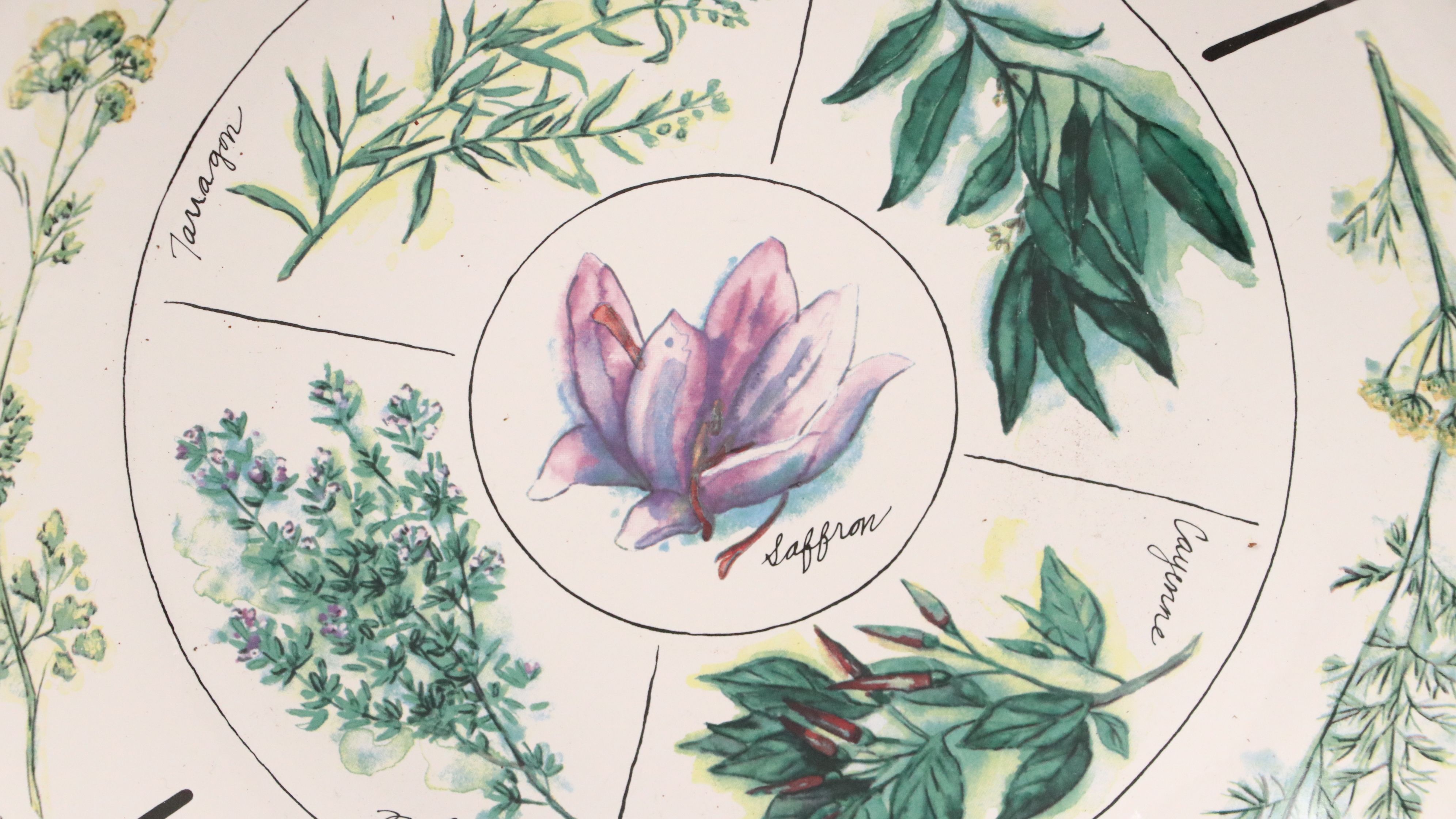 Williams-Sonoma Portuguese Ceramic Herb Pattern Bowls