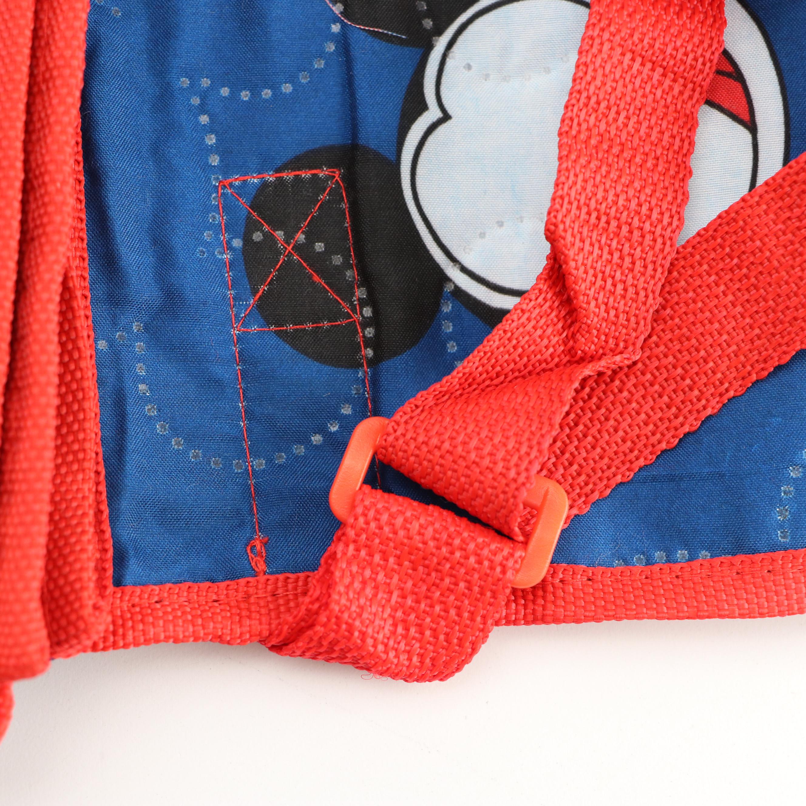 Disney and Mickey Mouse Themed Picnic Blanket, Photo Album, Scrapbook and Throw