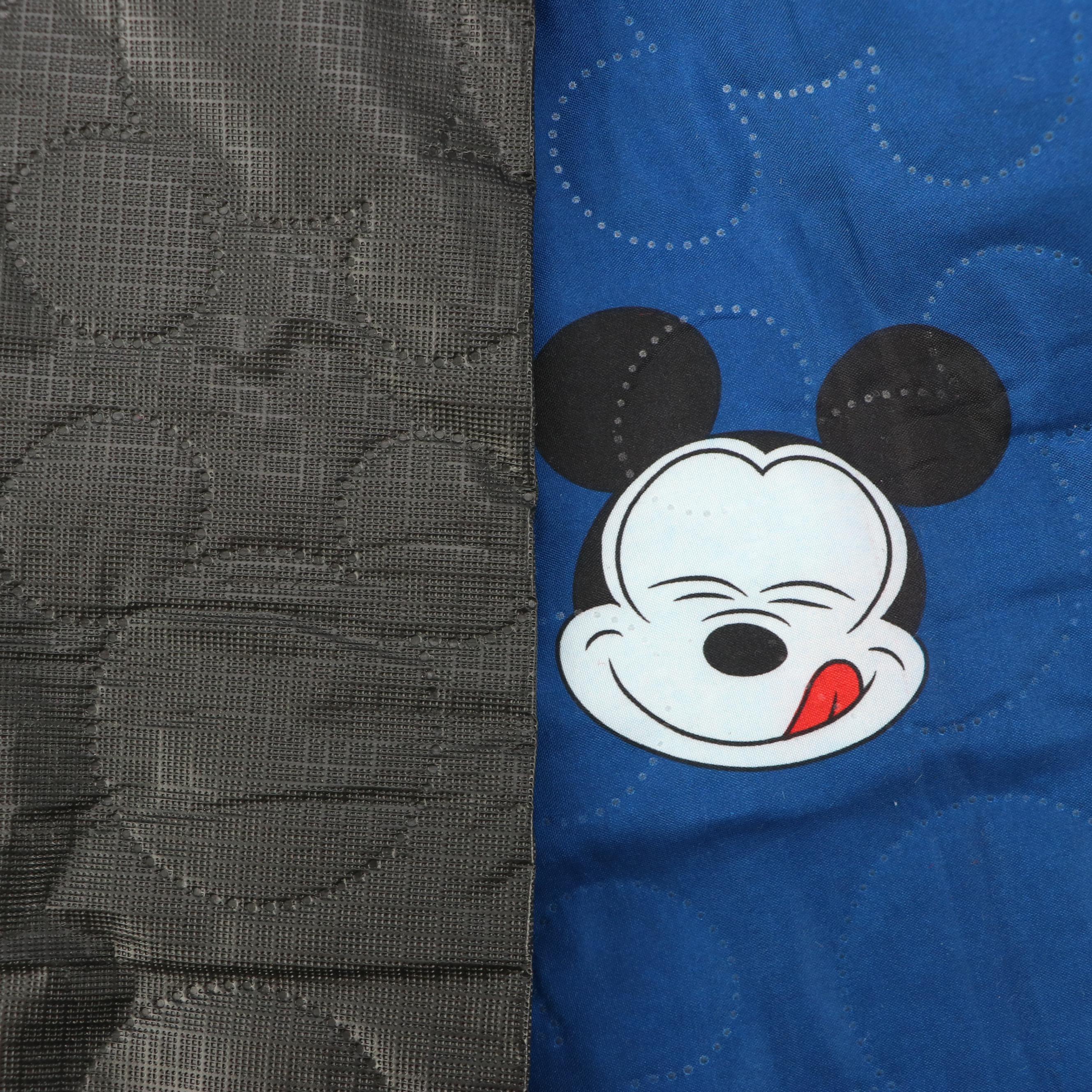Disney and Mickey Mouse Themed Picnic Blanket, Photo Album, Scrapbook and Throw