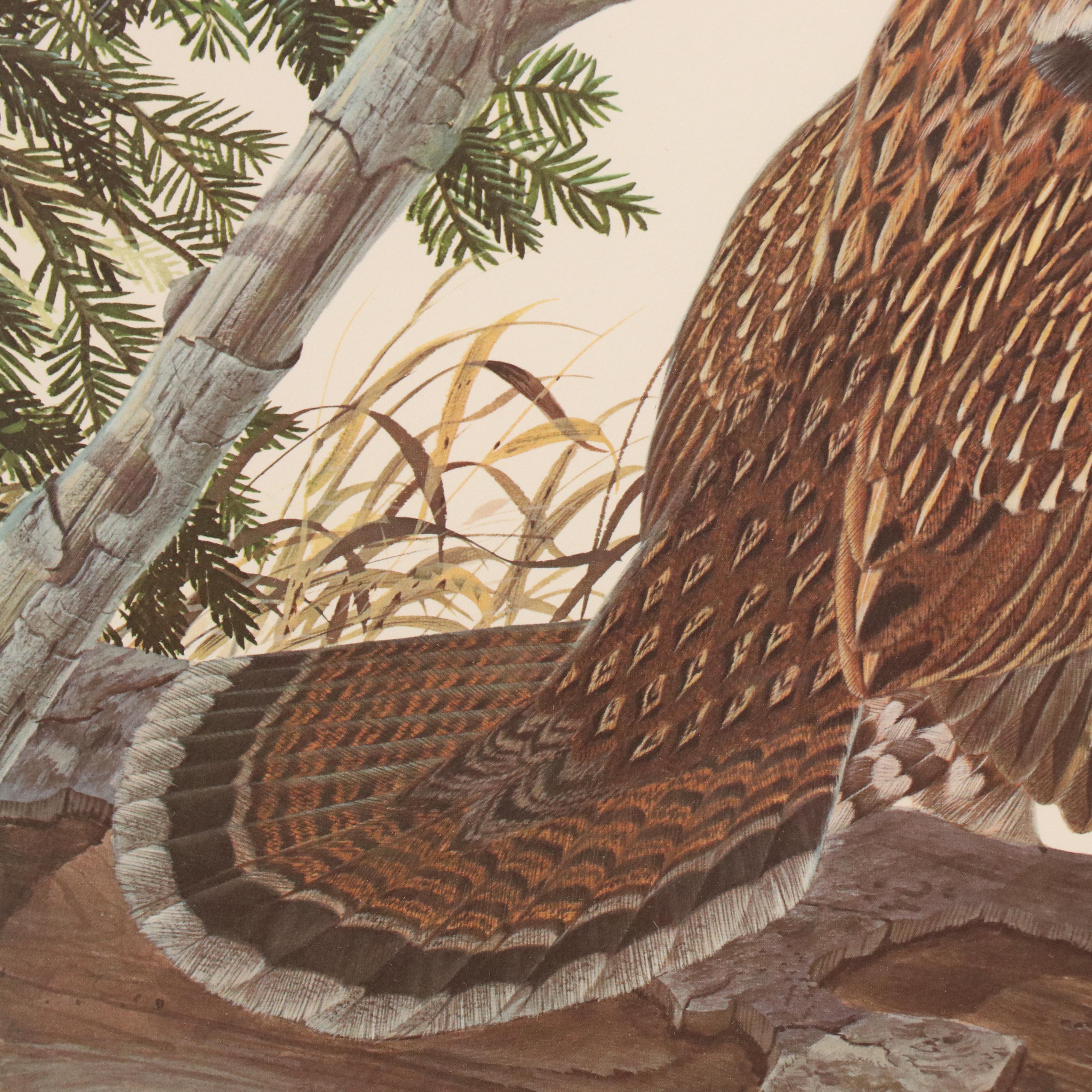 Offset Lithograph After John A. Ruthven "Ruffed Grouse"
