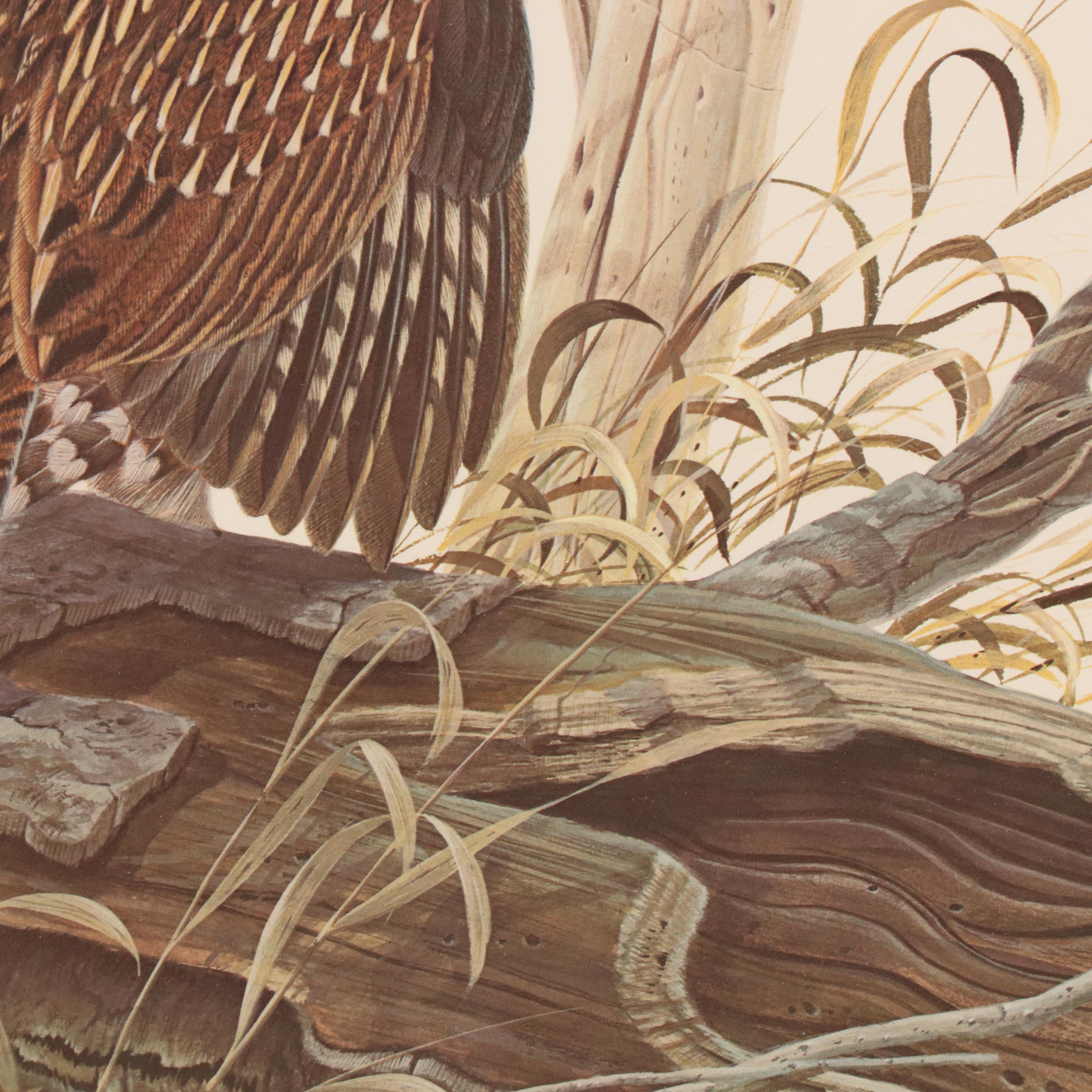 Offset Lithograph After John A. Ruthven "Ruffed Grouse"