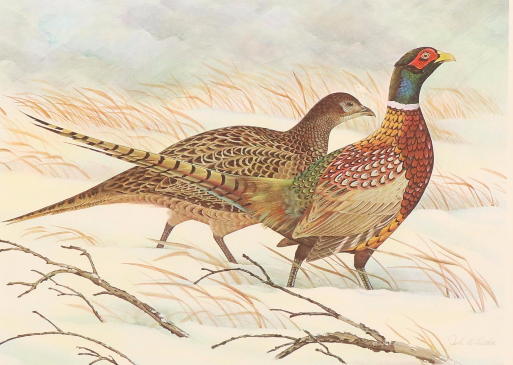 John A. Ruthven Offset Lithograph "Ring-necked Pheasant"