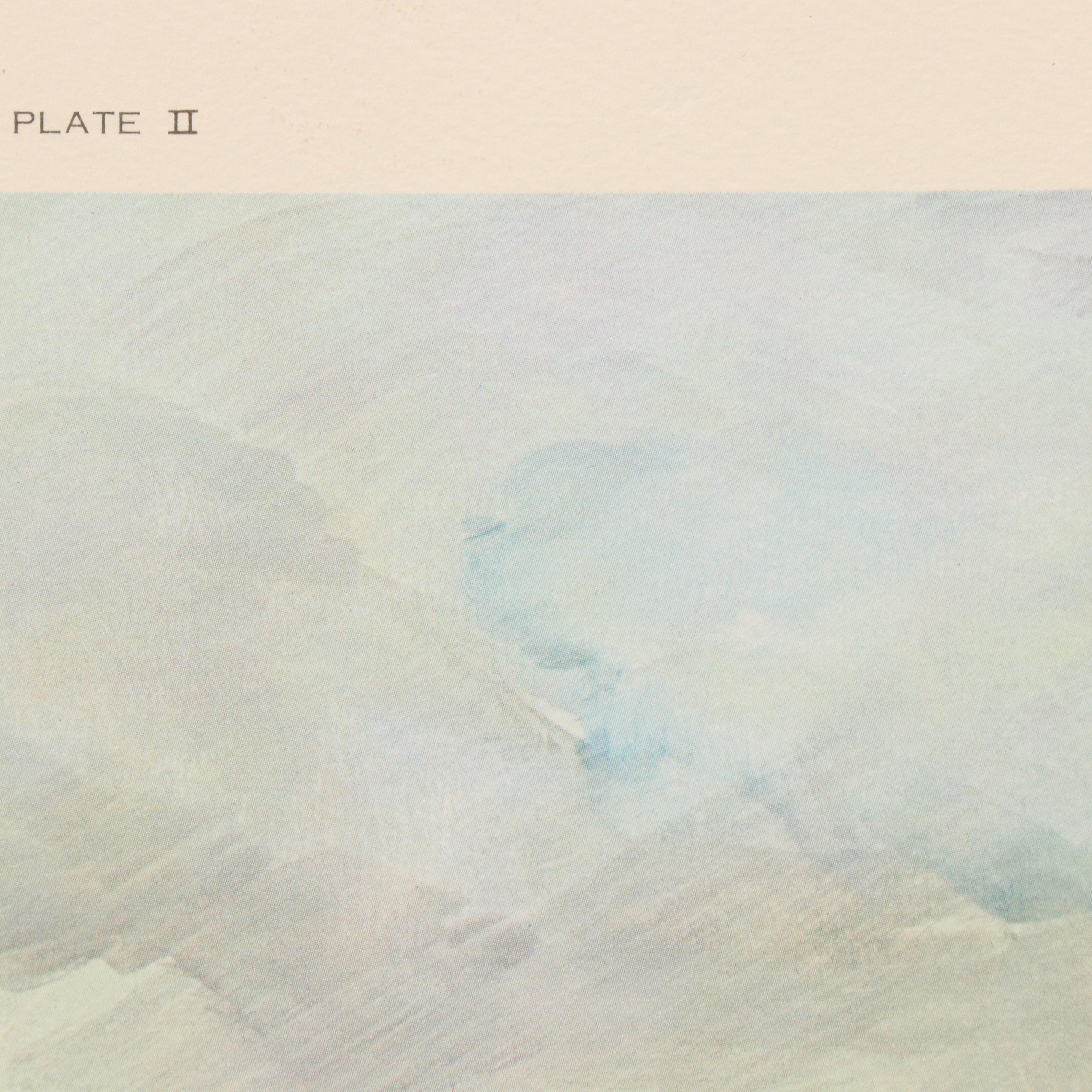 John A. Ruthven Offset Lithograph "Ring-necked Pheasant"