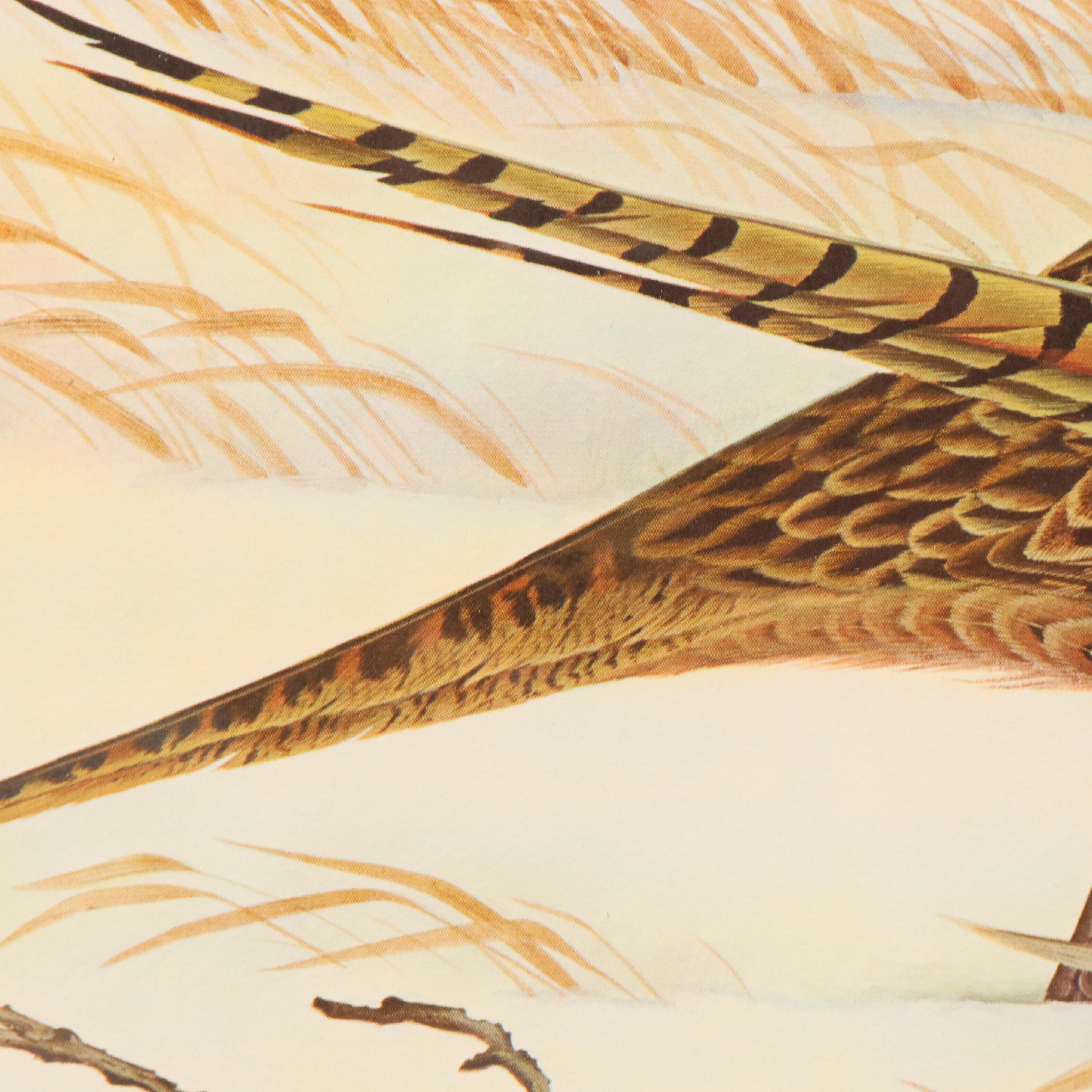 John A. Ruthven Offset Lithograph "Ring-necked Pheasant"