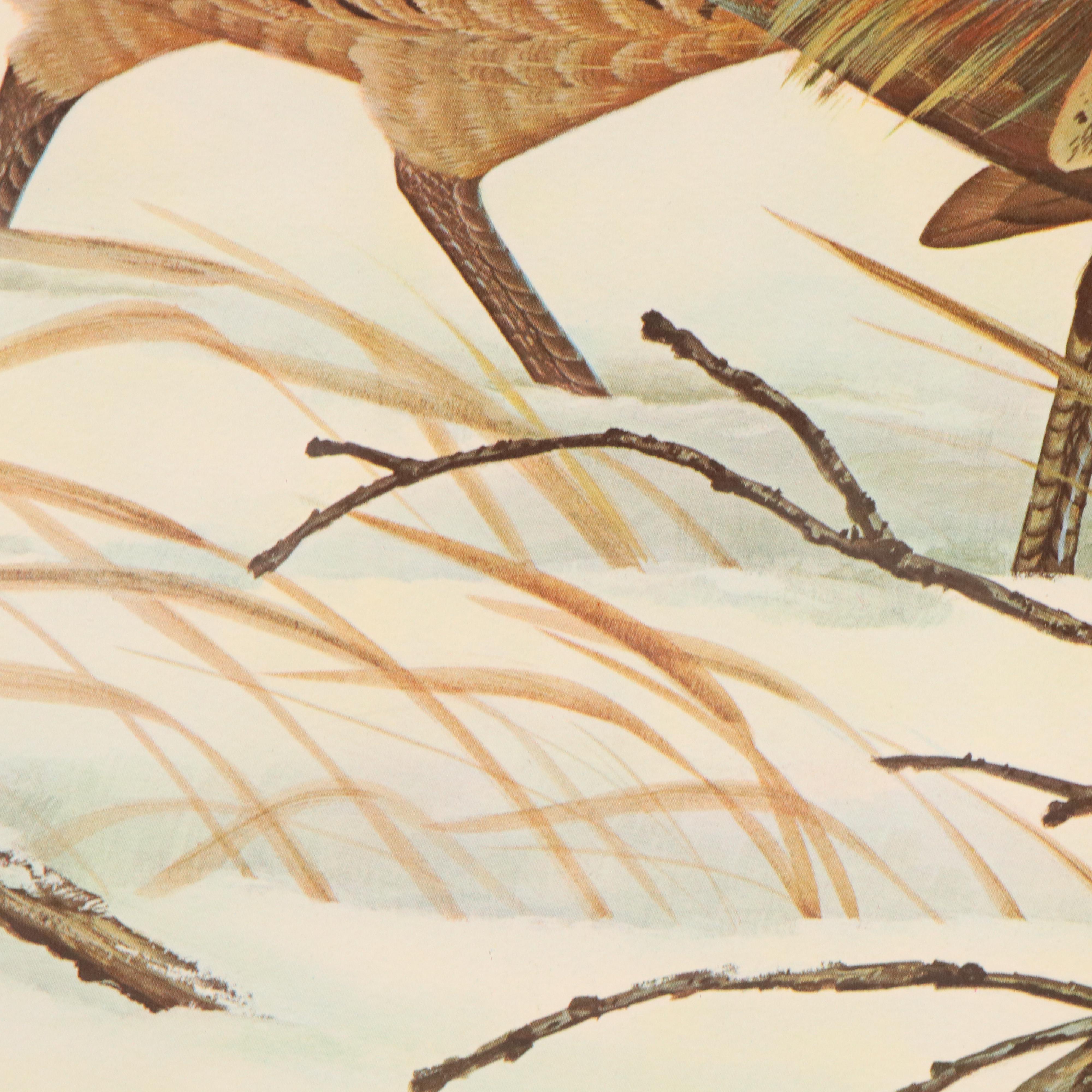 John A. Ruthven Offset Lithograph "Ring-necked Pheasant"