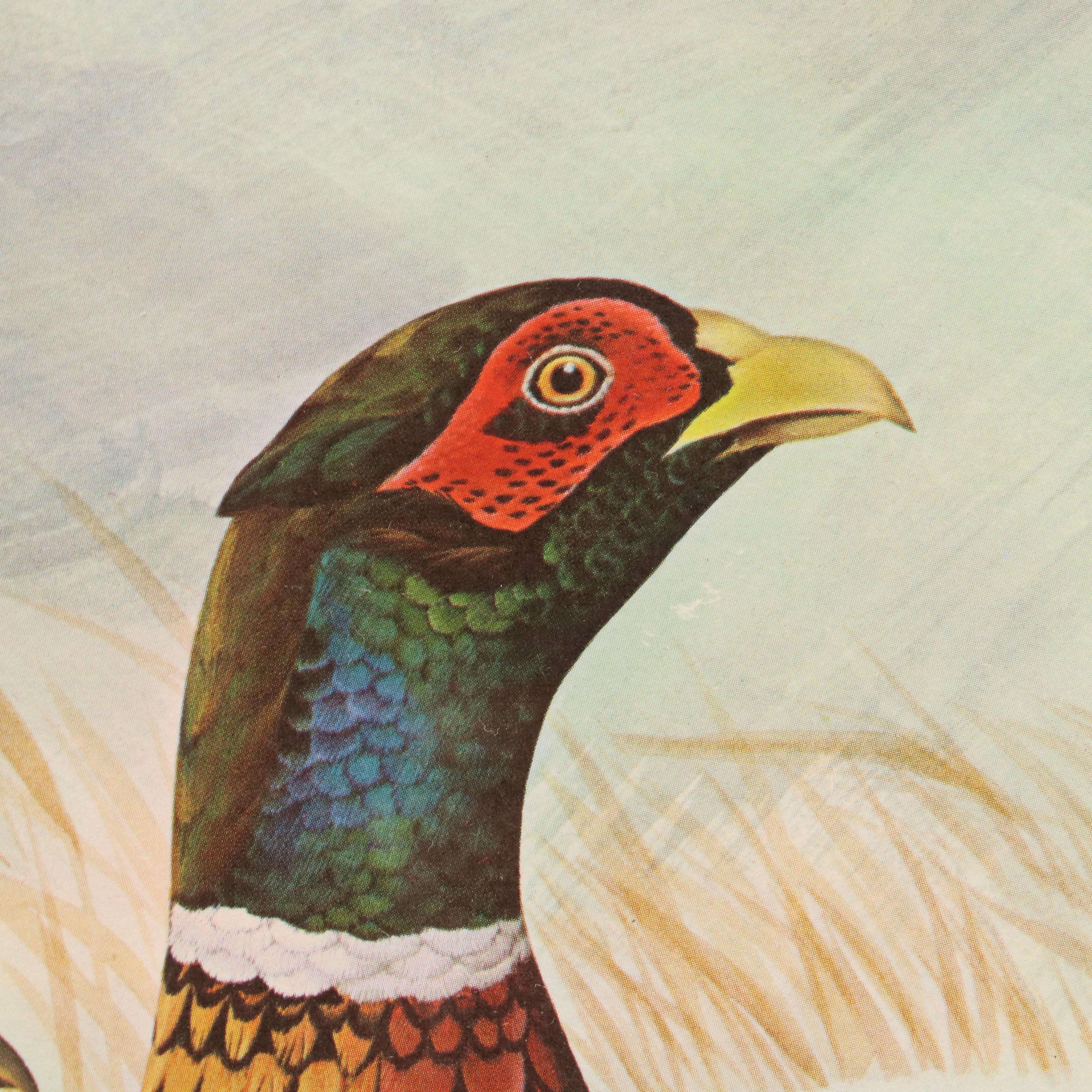 John A. Ruthven Offset Lithograph "Ring-necked Pheasant"