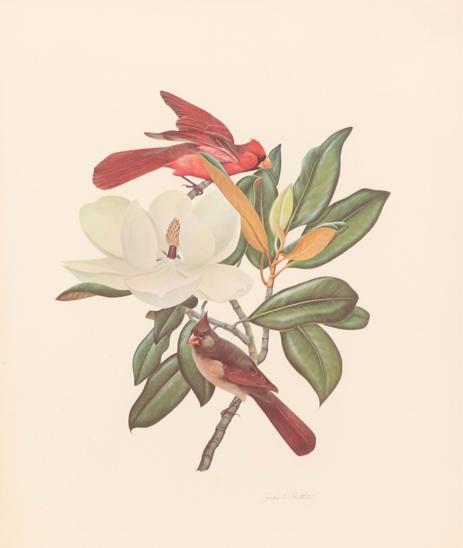 Offset Lithograph After John A. Ruthven of Cardinals and Flowers