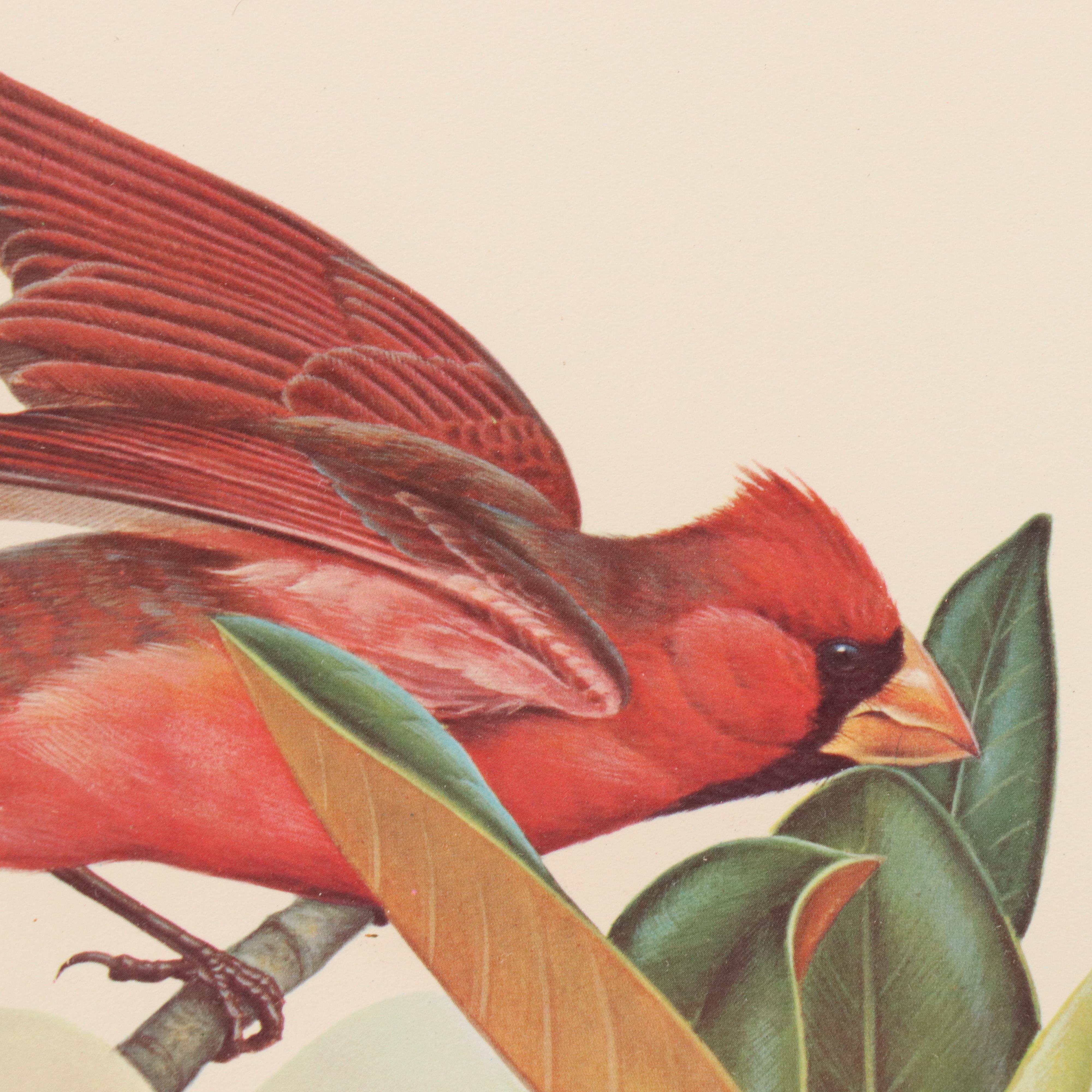 Offset Lithograph After John A. Ruthven of Cardinals and Flowers