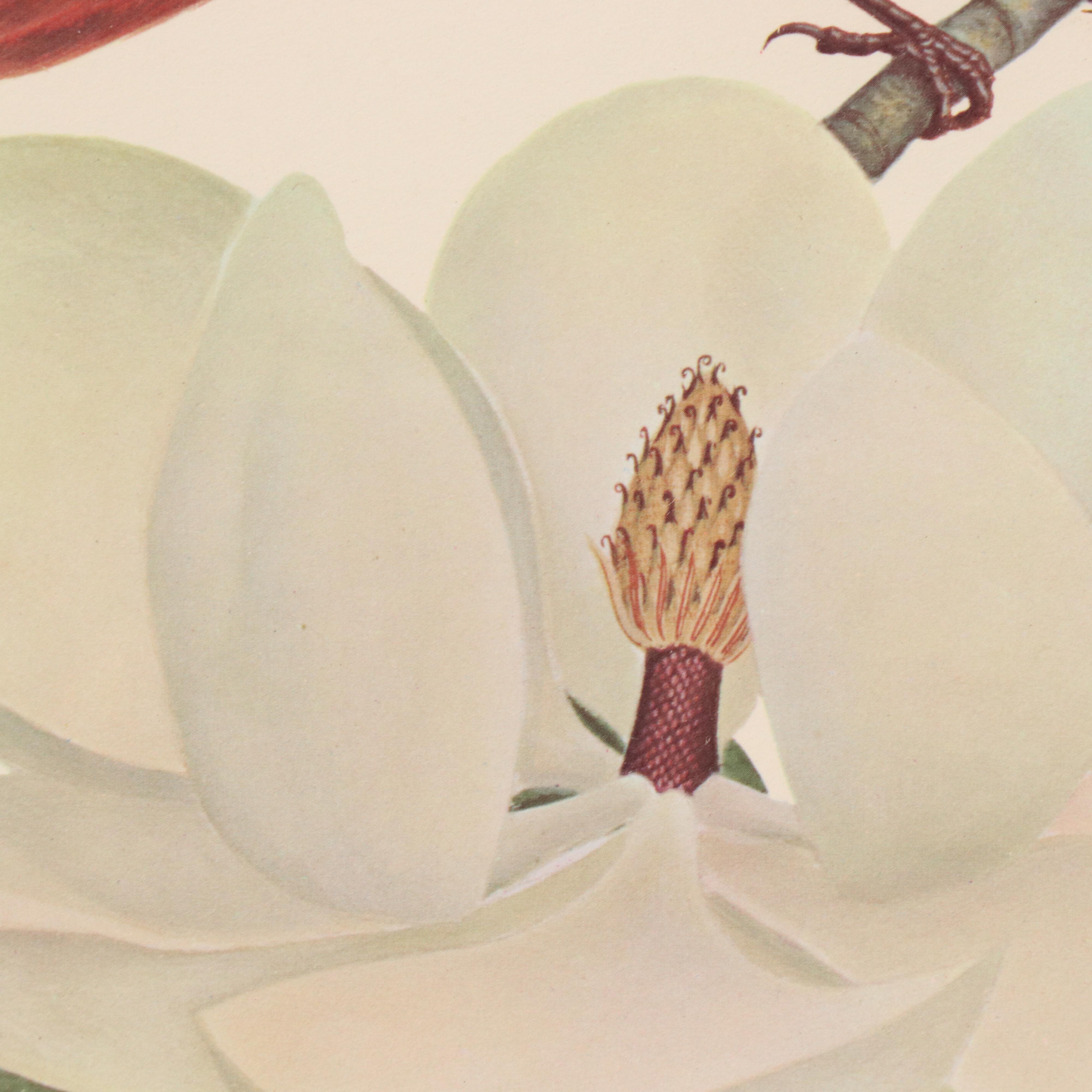 Offset Lithograph After John A. Ruthven of Cardinals and Flowers