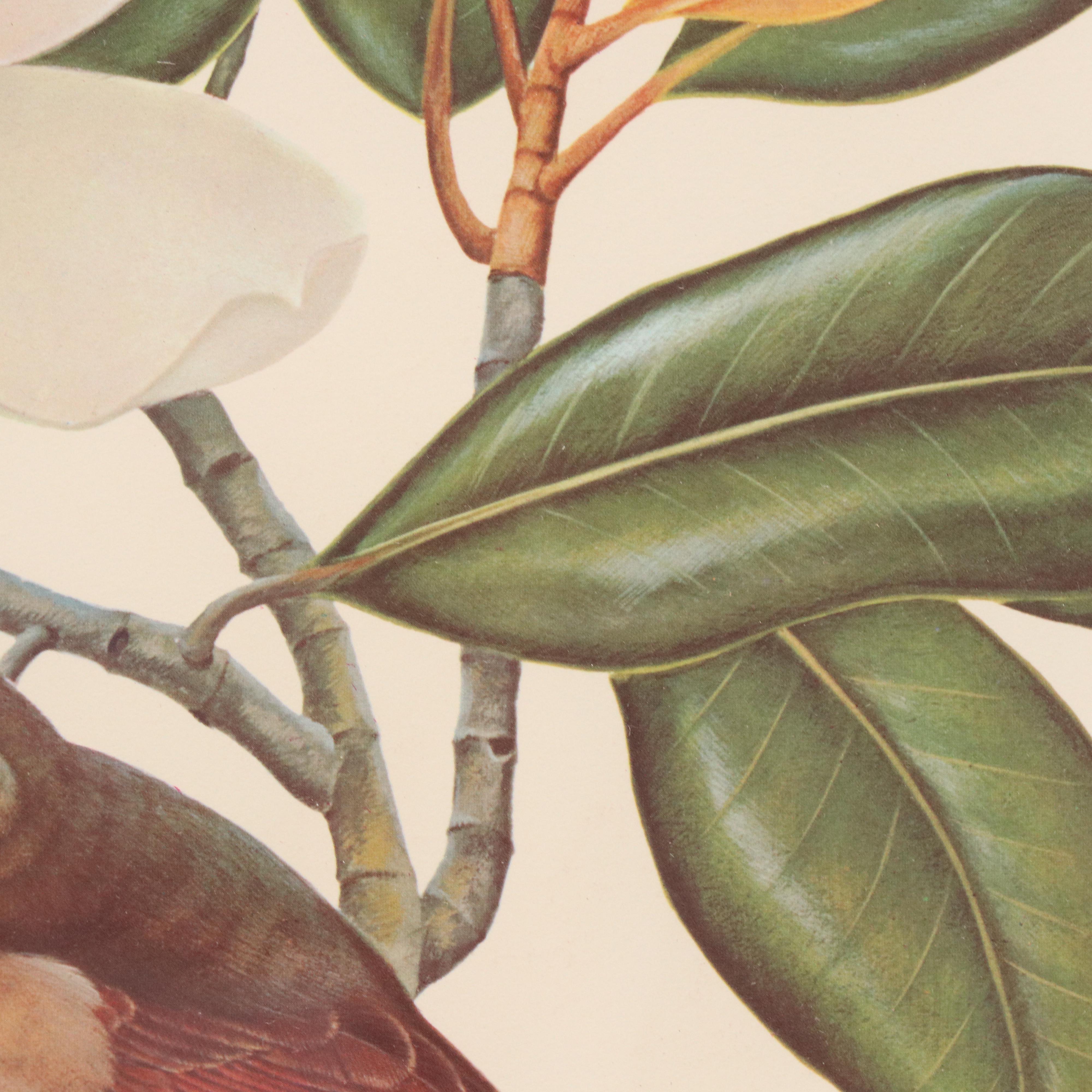 Offset Lithograph After John A. Ruthven of Cardinals and Flowers