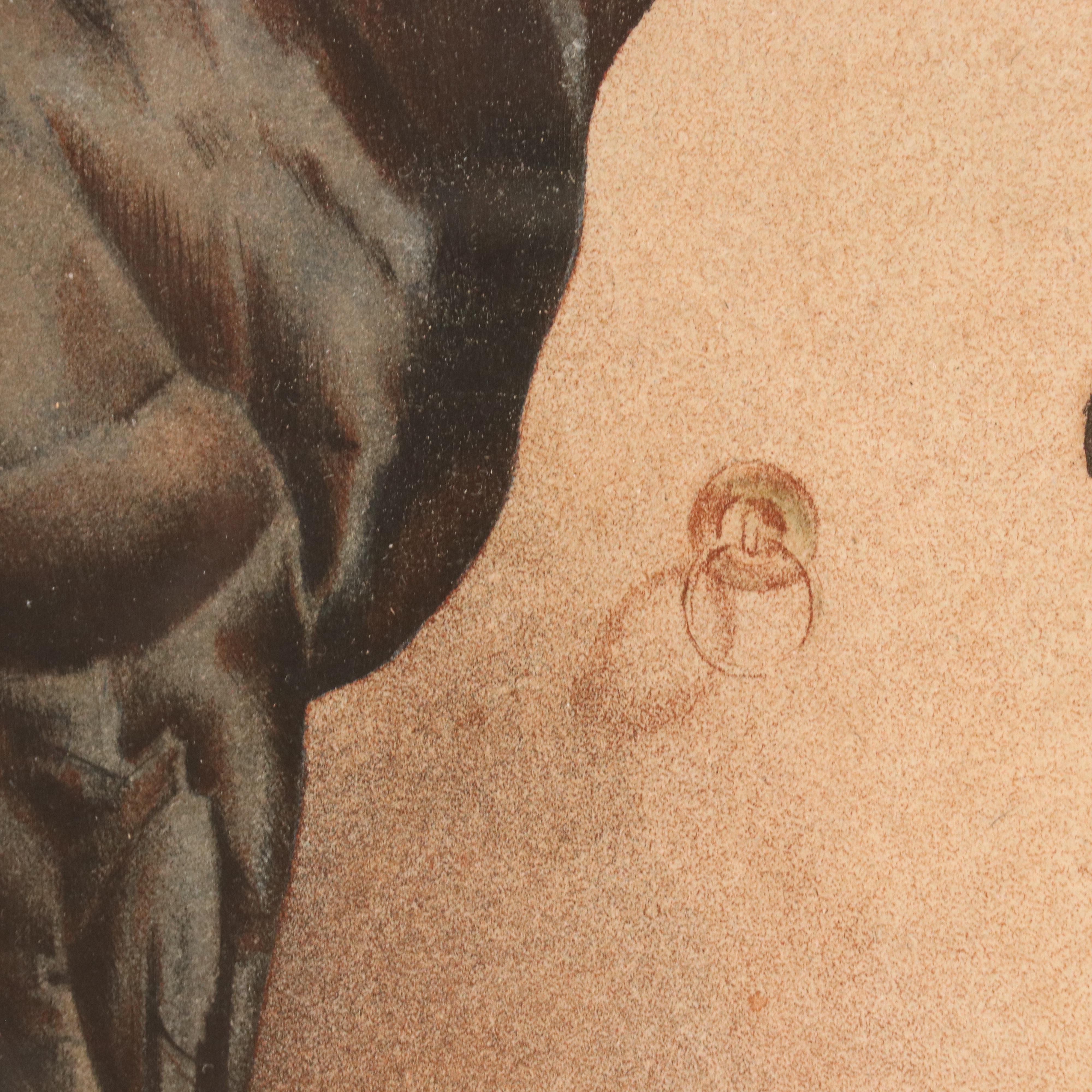 Equine Portrait Etching of Asteroide, 1977