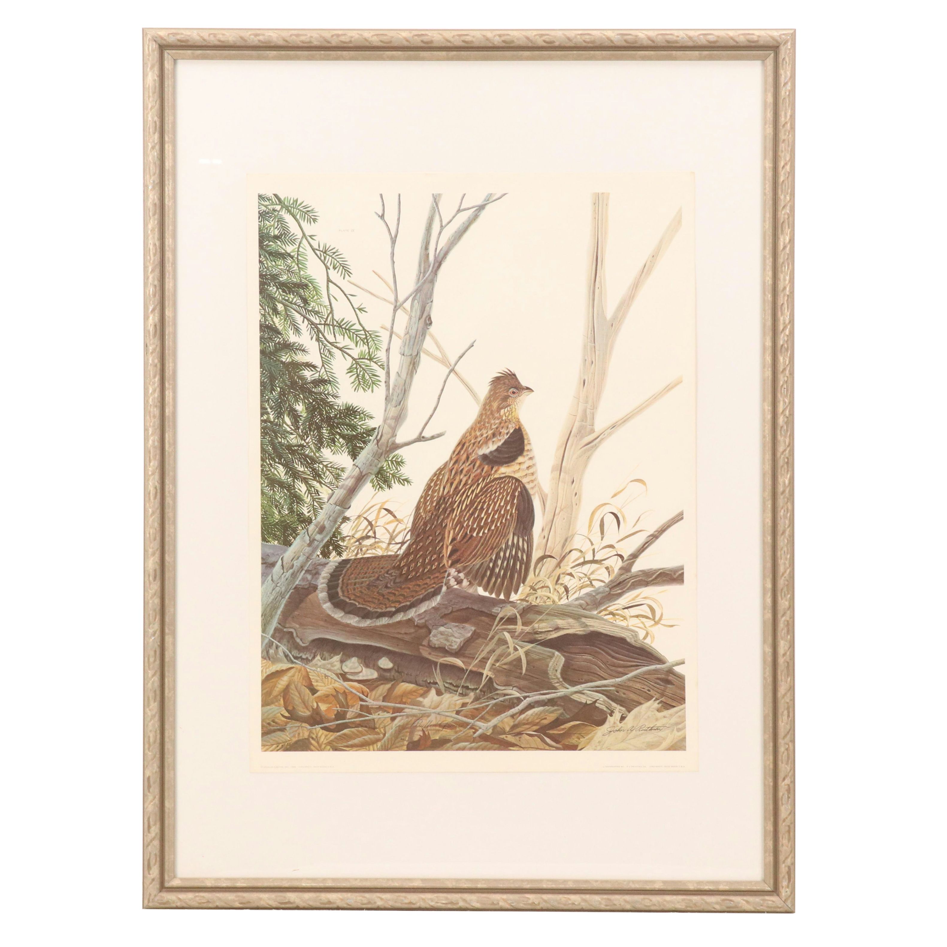Offset Lithograph After John A. Ruthven "Ruffed Grouse"