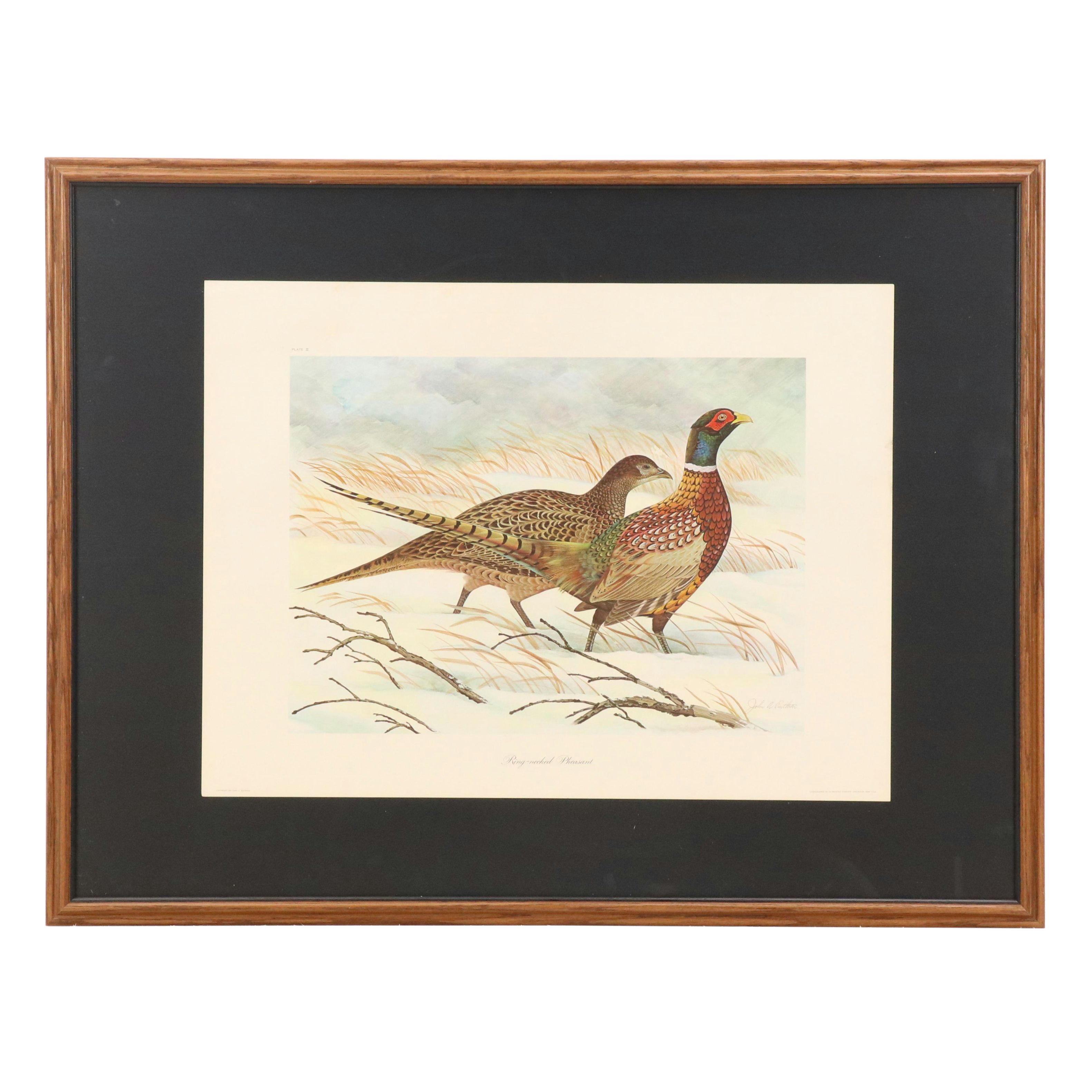 John A. Ruthven Offset Lithograph "Ring-necked Pheasant"