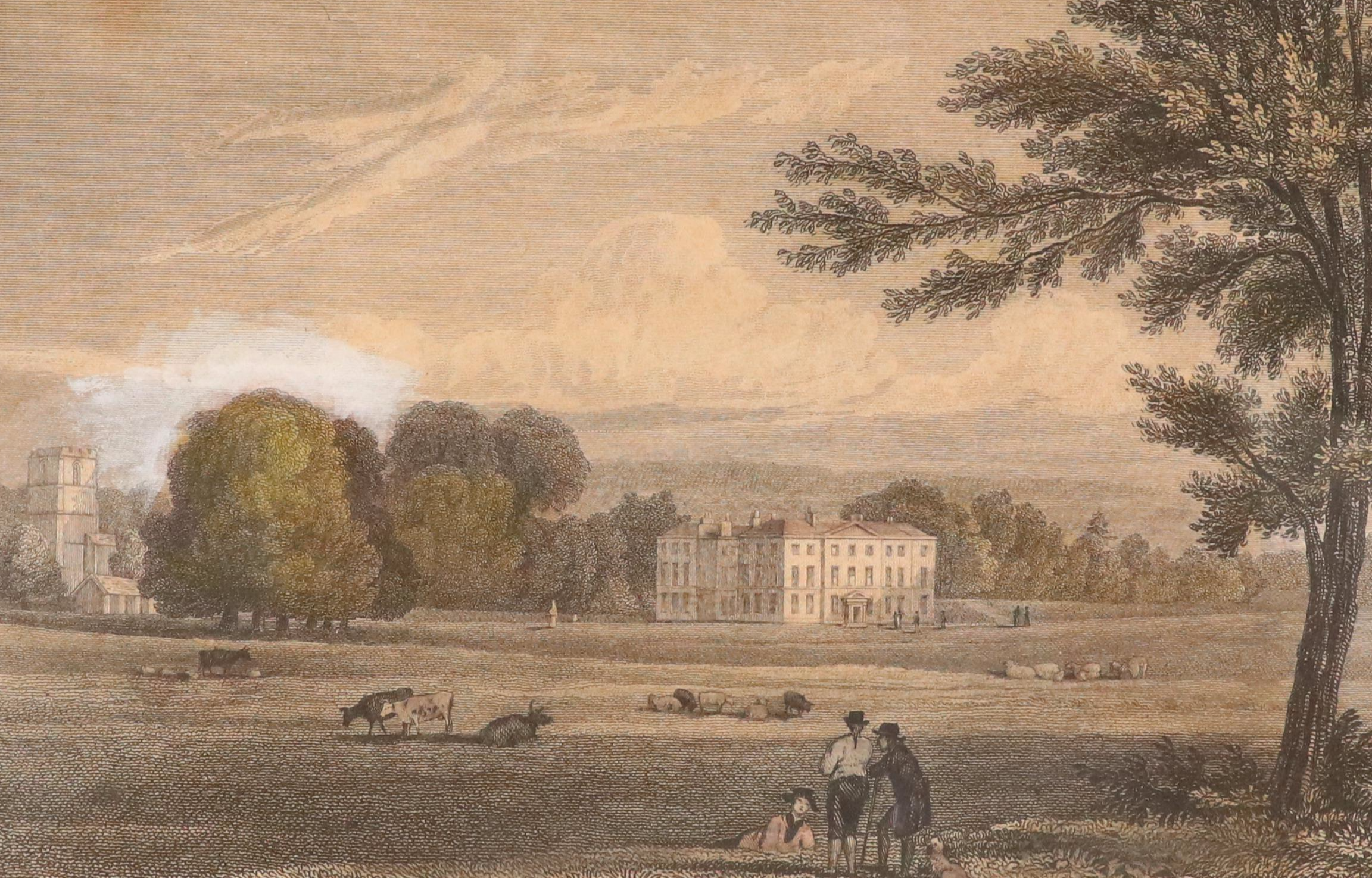 Engraving After John Preston Neale "Prestwold Hall, Leicestershire"