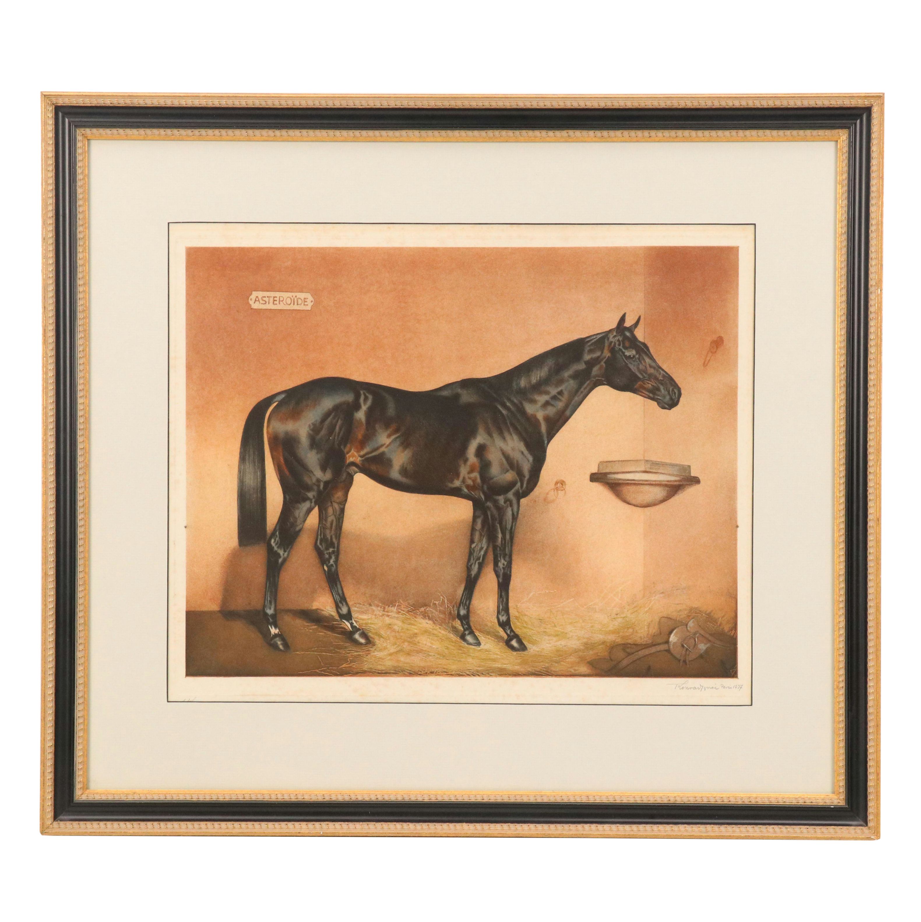 Equine Portrait Etching of Asteroide, 1977