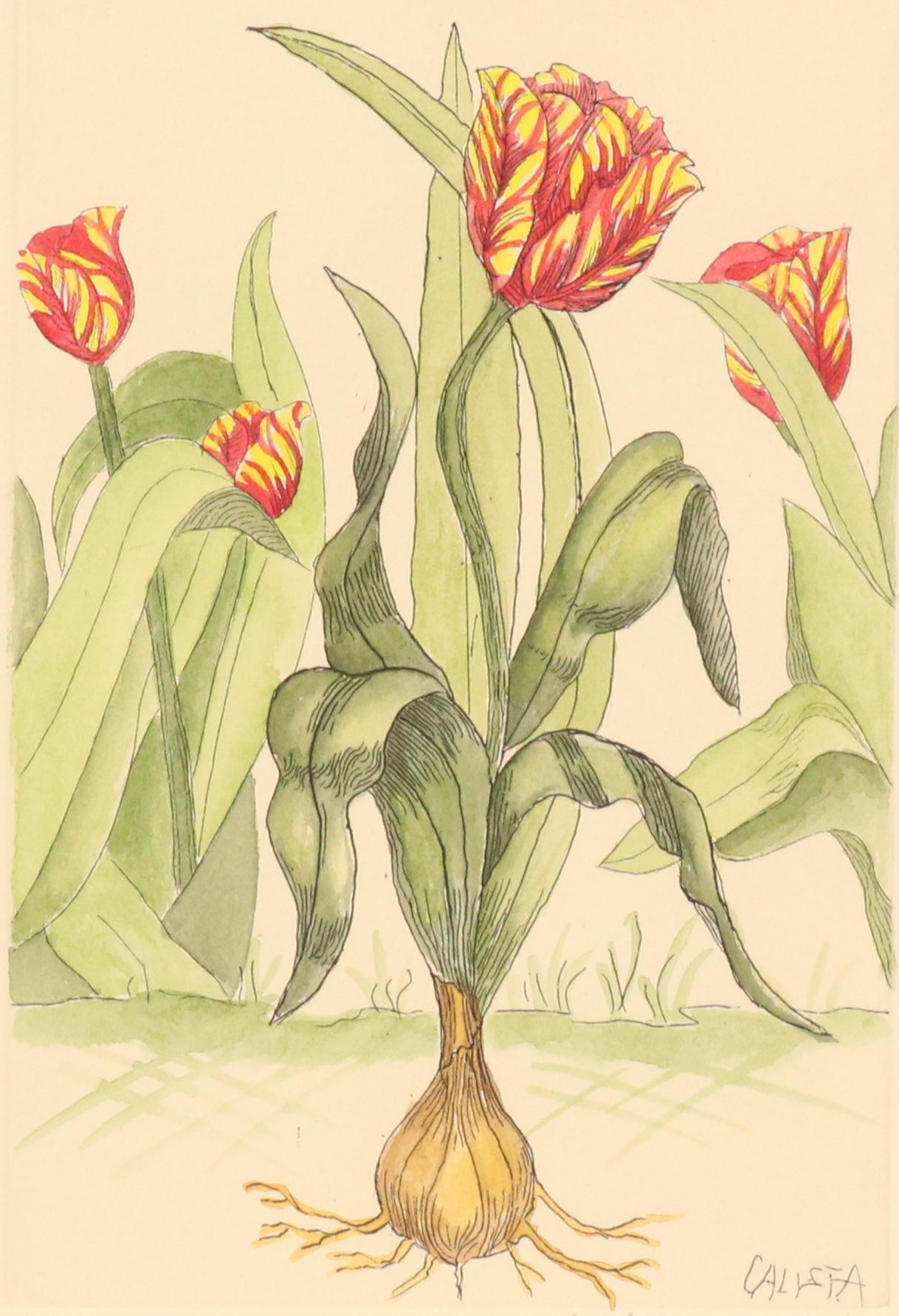 Calista Bockenstette Botanical Hand-Colored Etchings, 2010