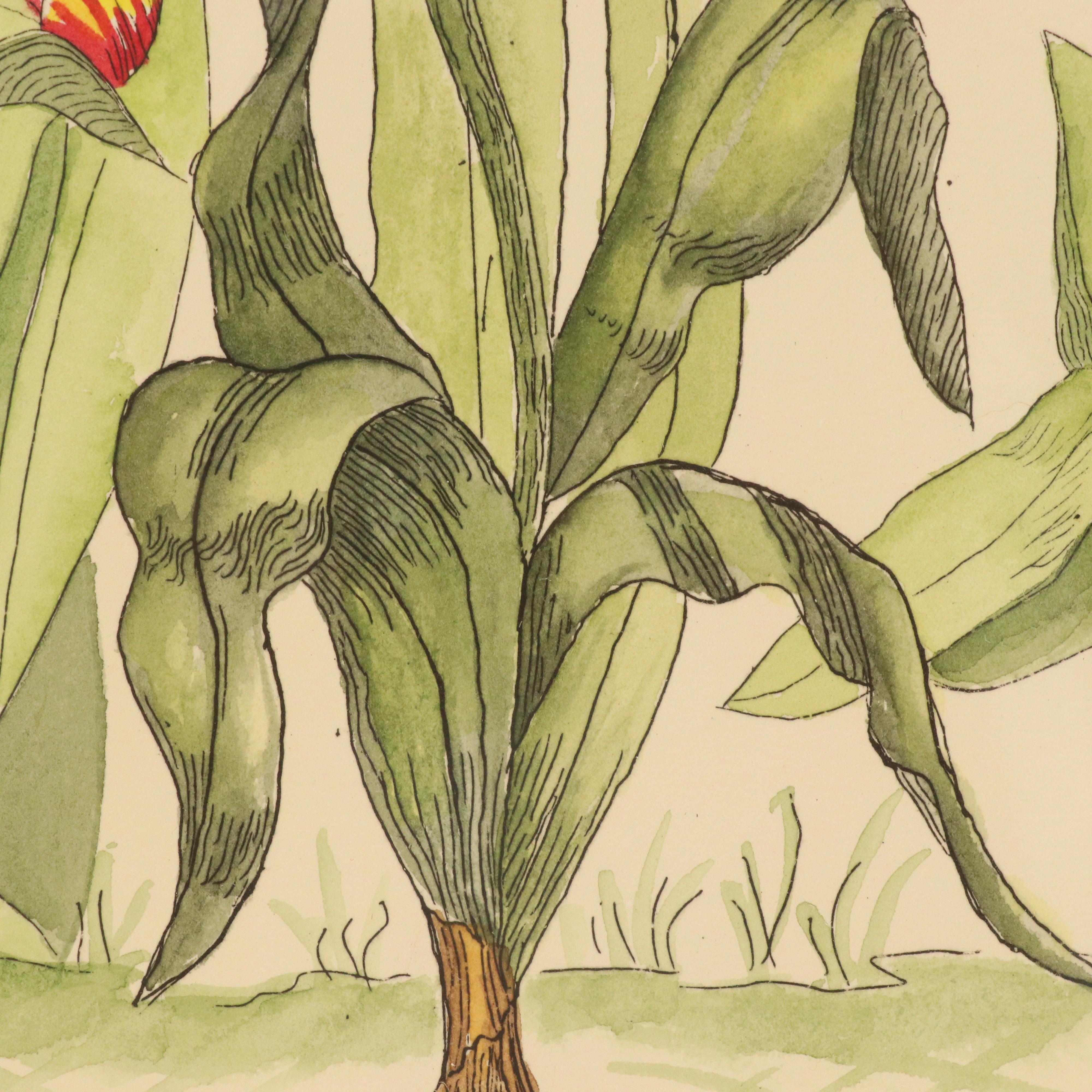 Calista Bockenstette Botanical Hand-Colored Etchings, 2010