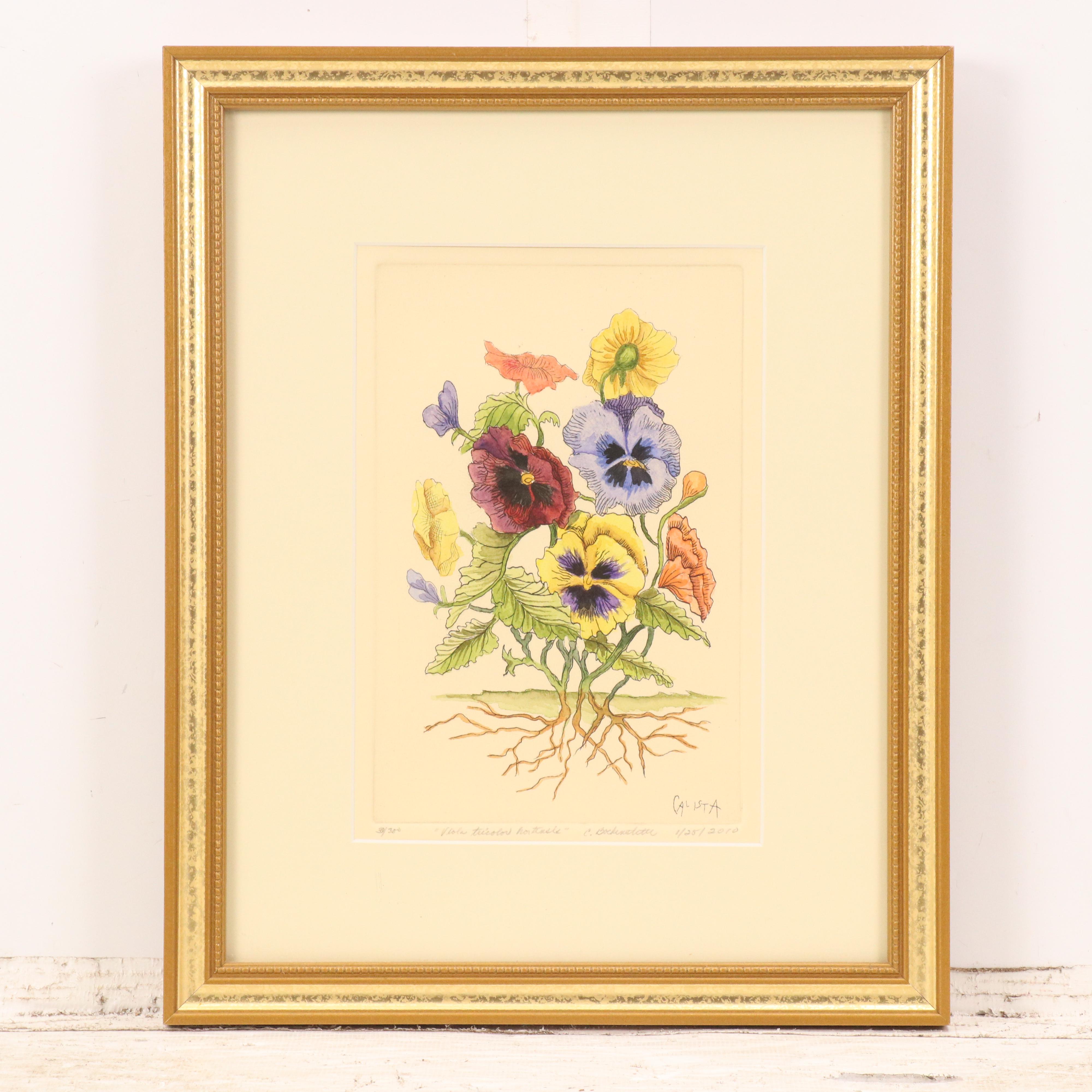 Calista Bockenstette Botanical Hand-Colored Etchings, 2010