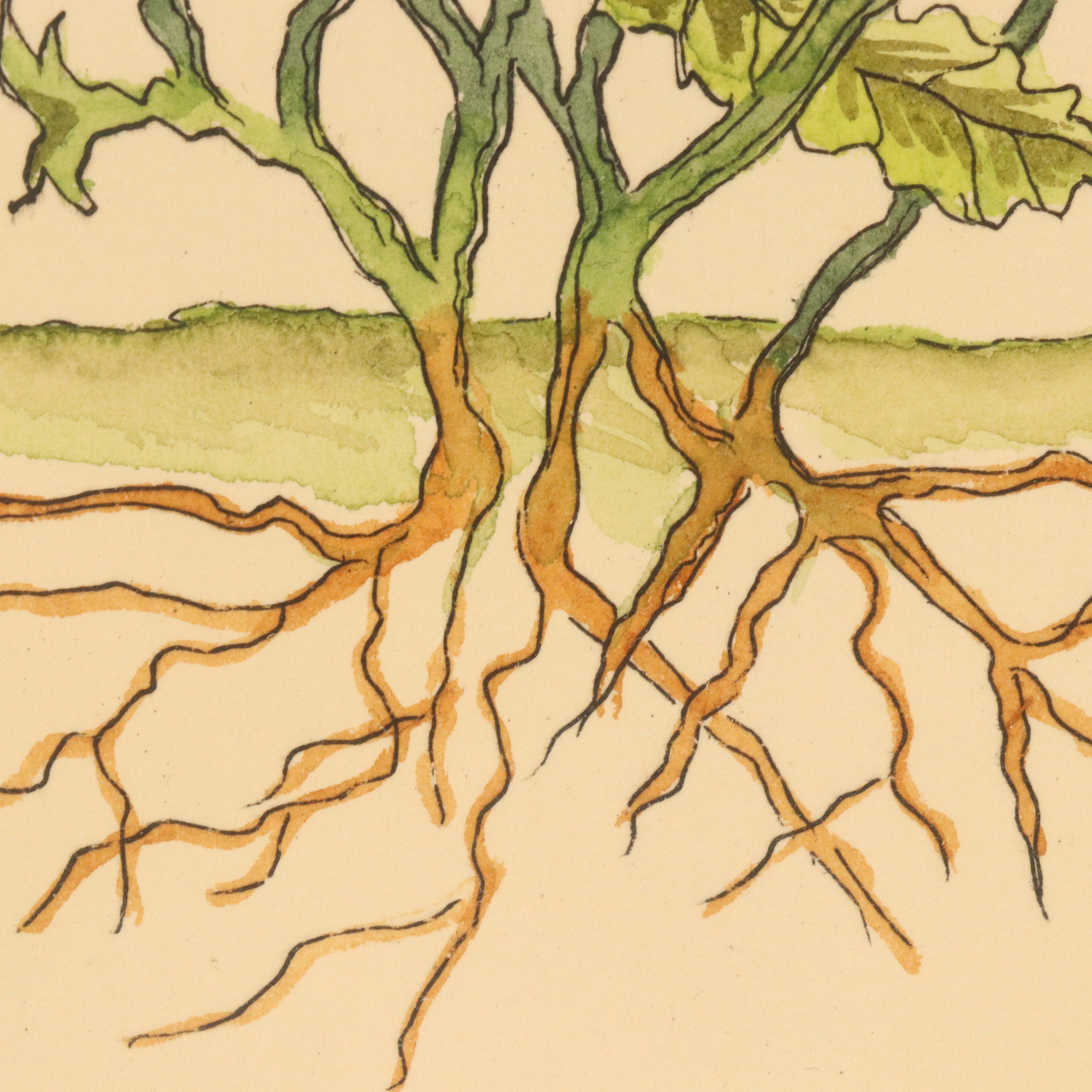 Calista Bockenstette Botanical Hand-Colored Etchings, 2010