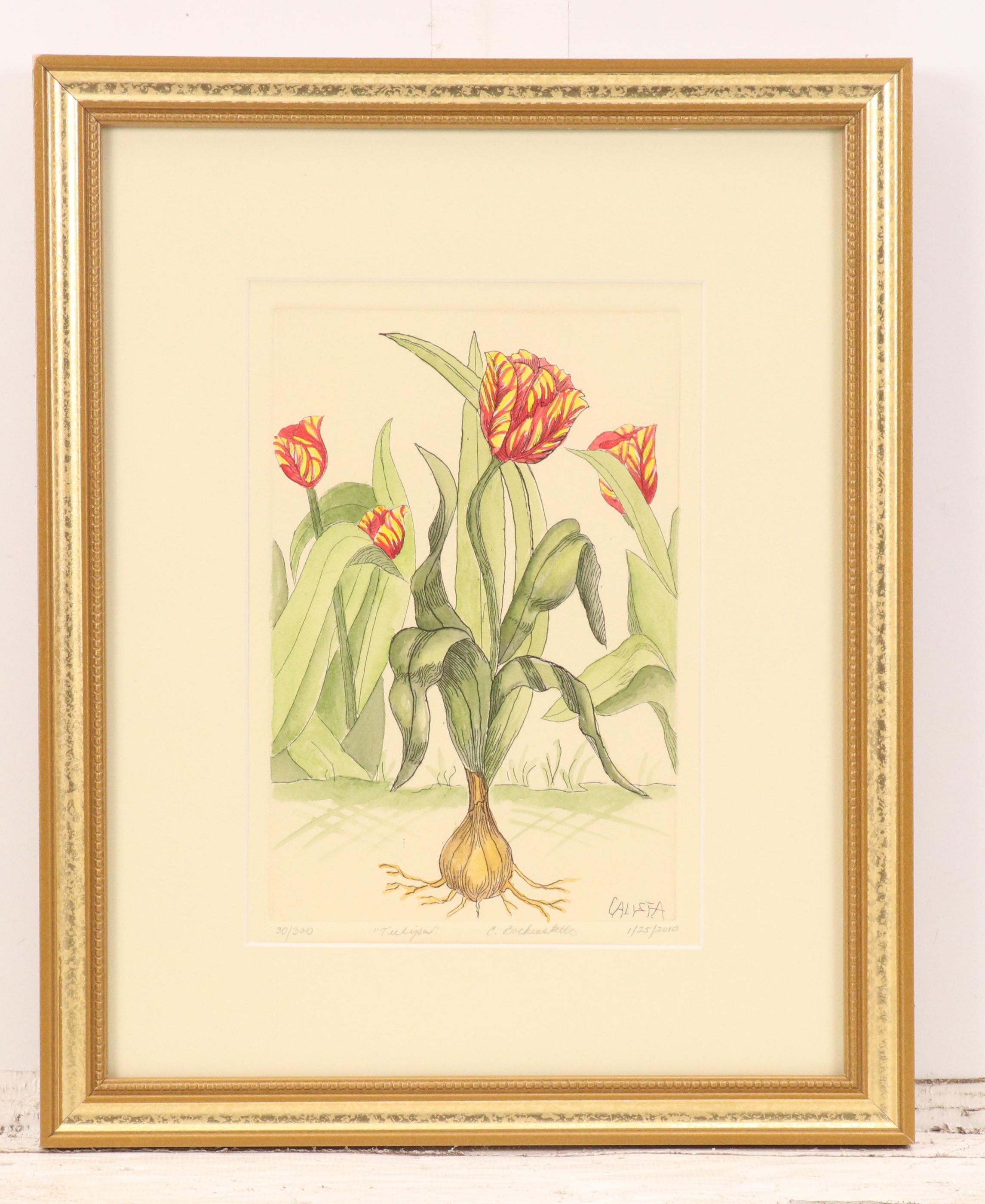 Calista Bockenstette Botanical Hand-Colored Etchings, 2010