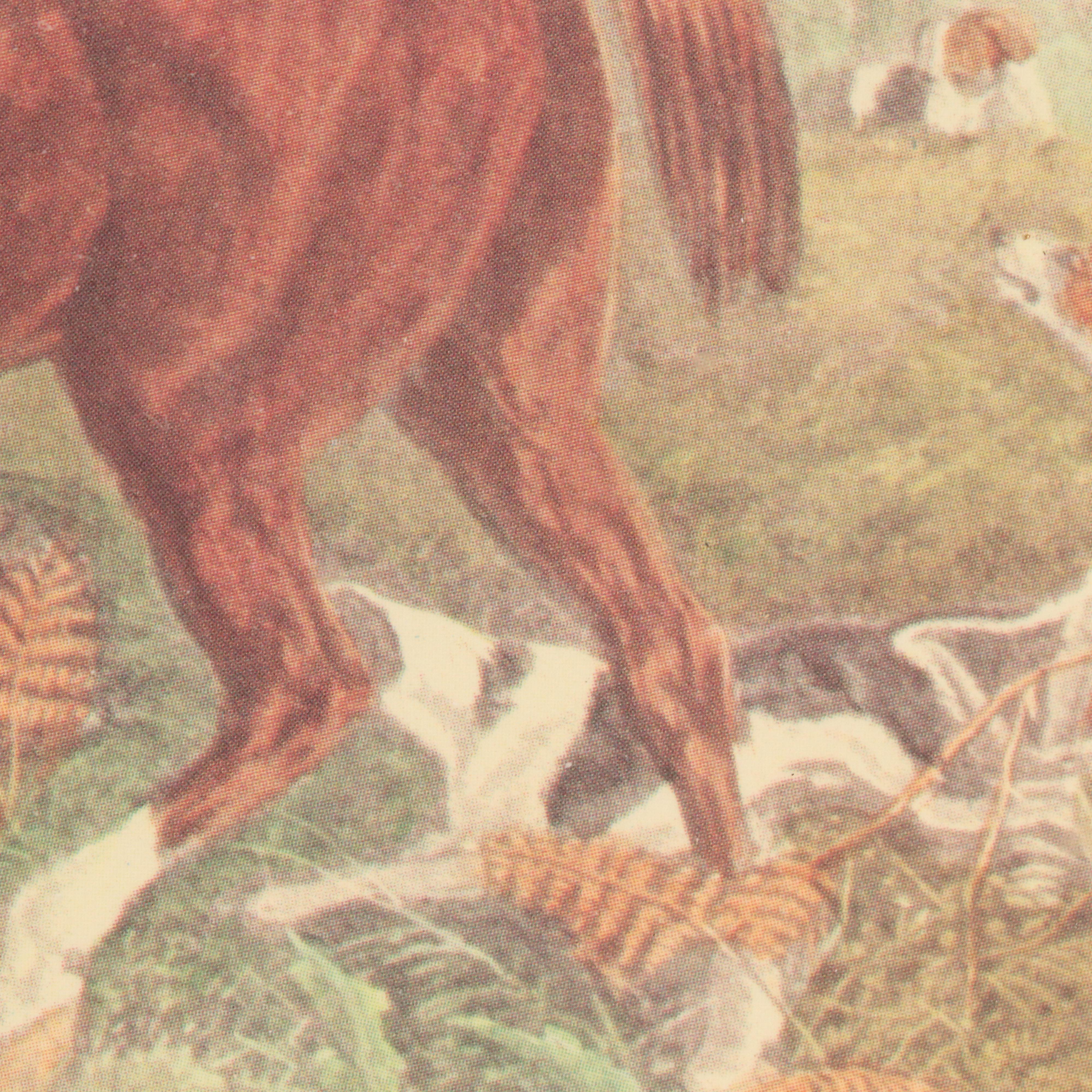 Offset Lithograph After William Joseph Shayer of Fox Hunting Scene