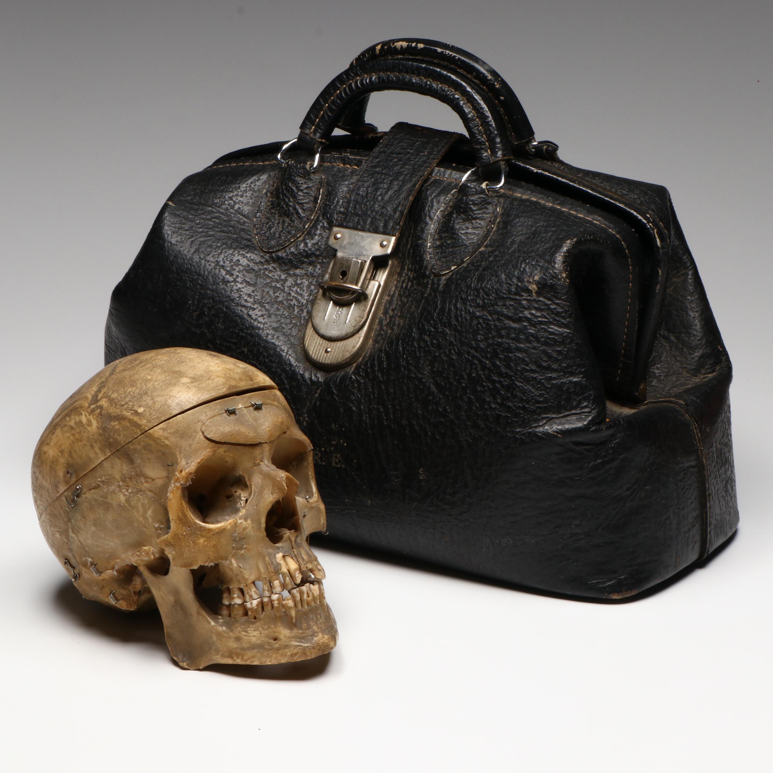 Human Skull Medical Specimen with Leather Doctor's Bag, 20th Century