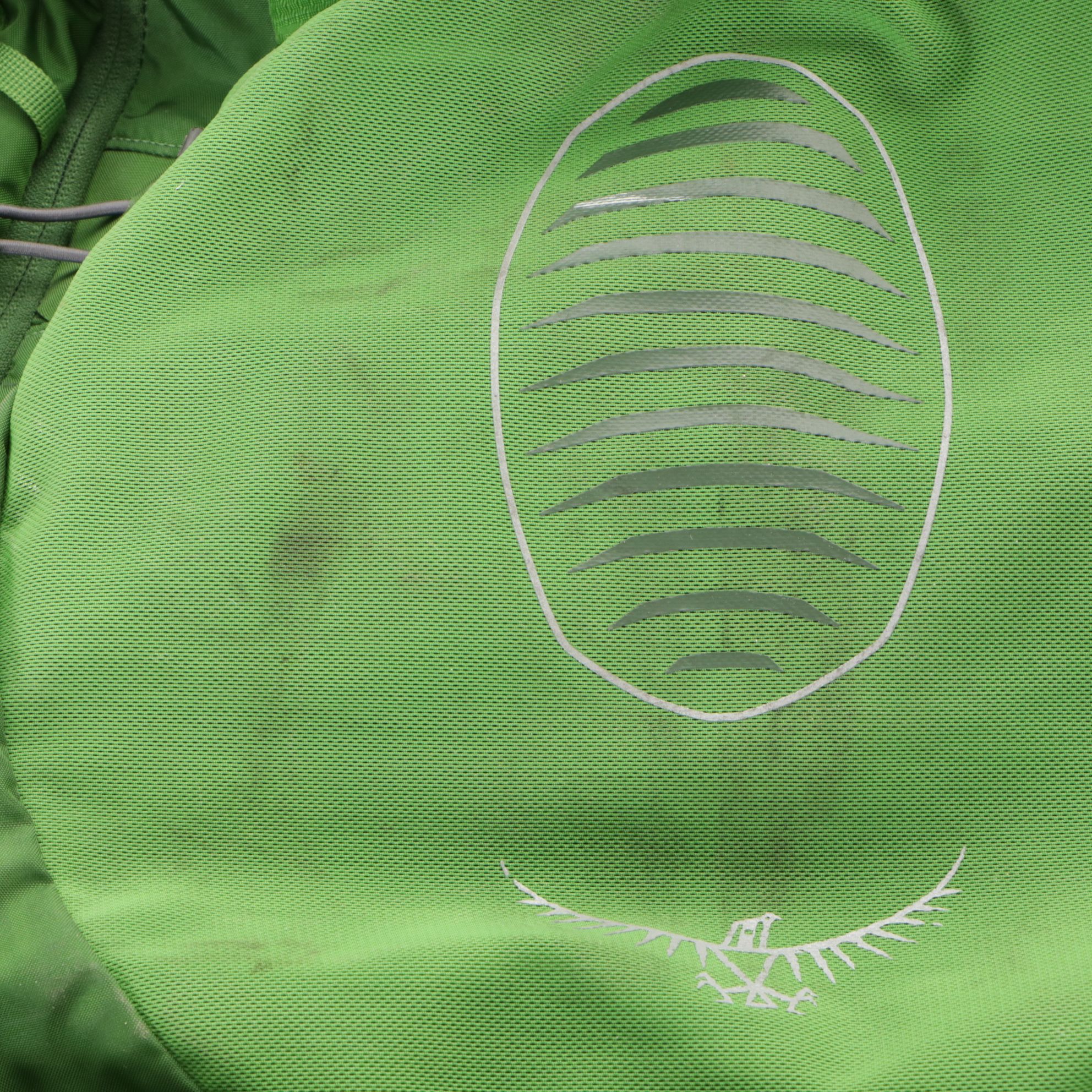 Osprey Atmos AG 65 Mythical Green Hiking Backpack