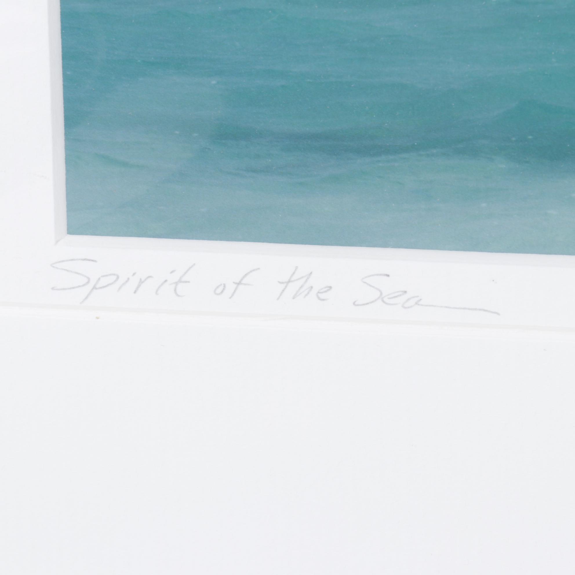 Steve Vaughn "Spirit of the Sea" Panoramic Photograph, Late 20th Century