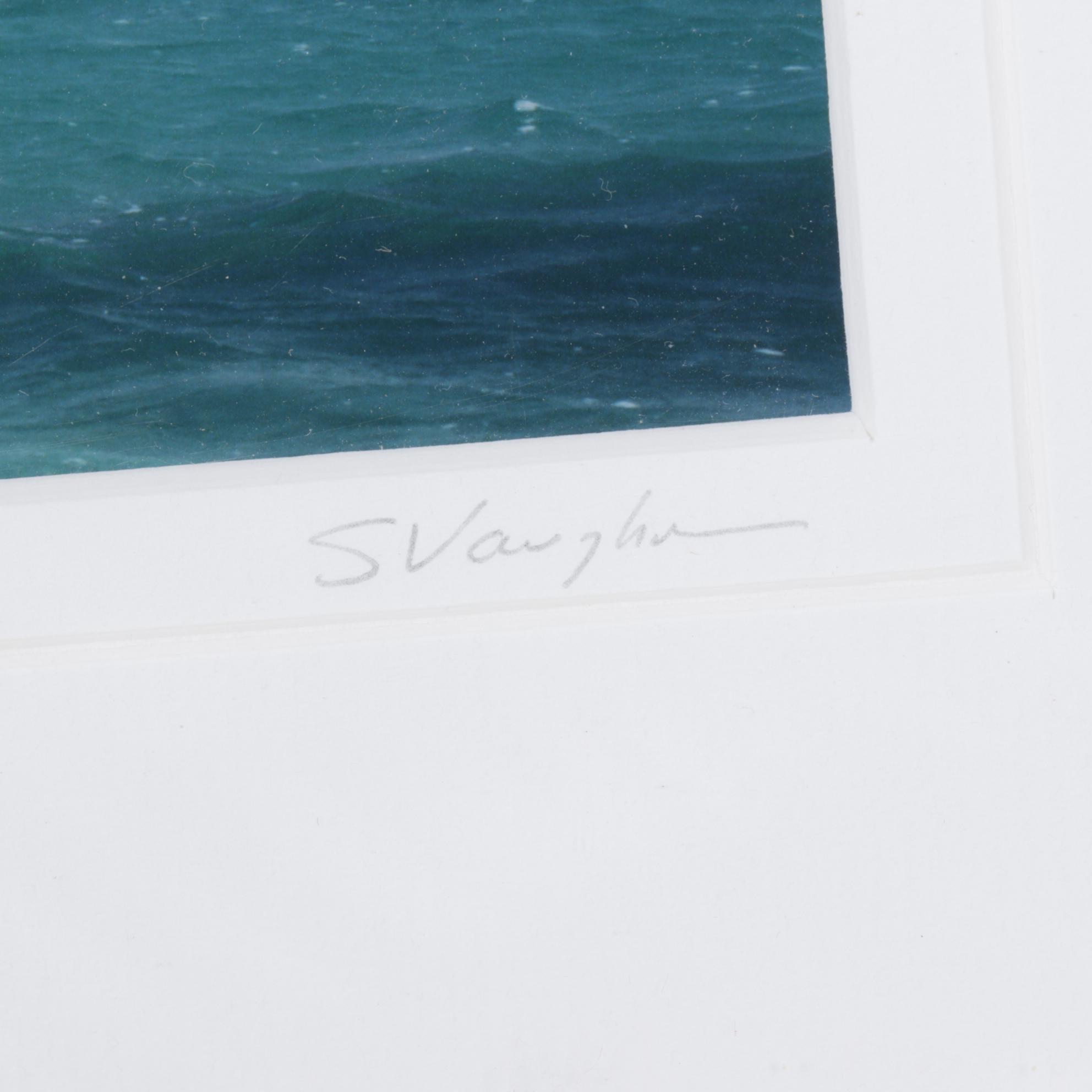 Steve Vaughn "Spirit of the Sea" Panoramic Photograph, Late 20th Century