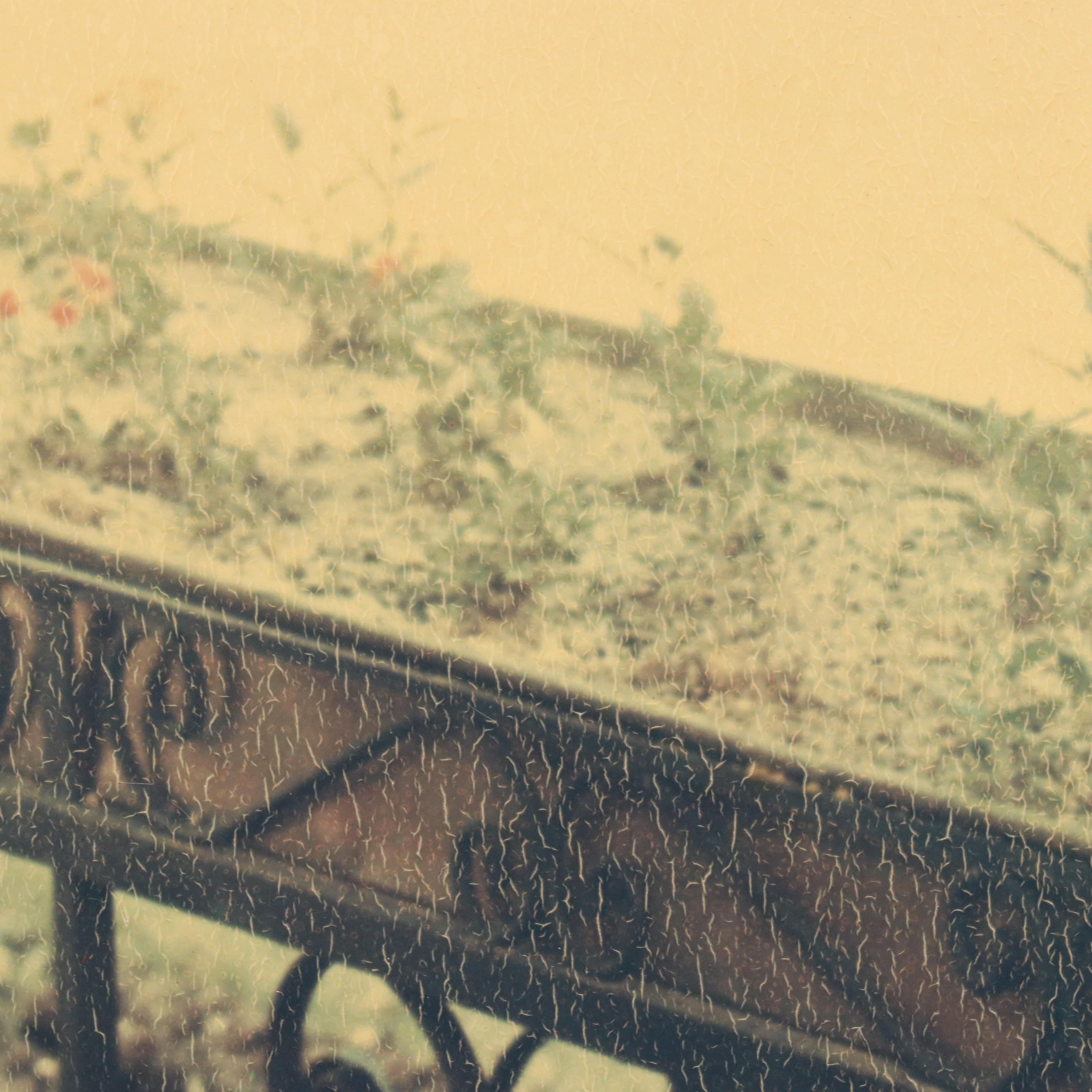 Chromogenic Color Portrait Photograph of Woman