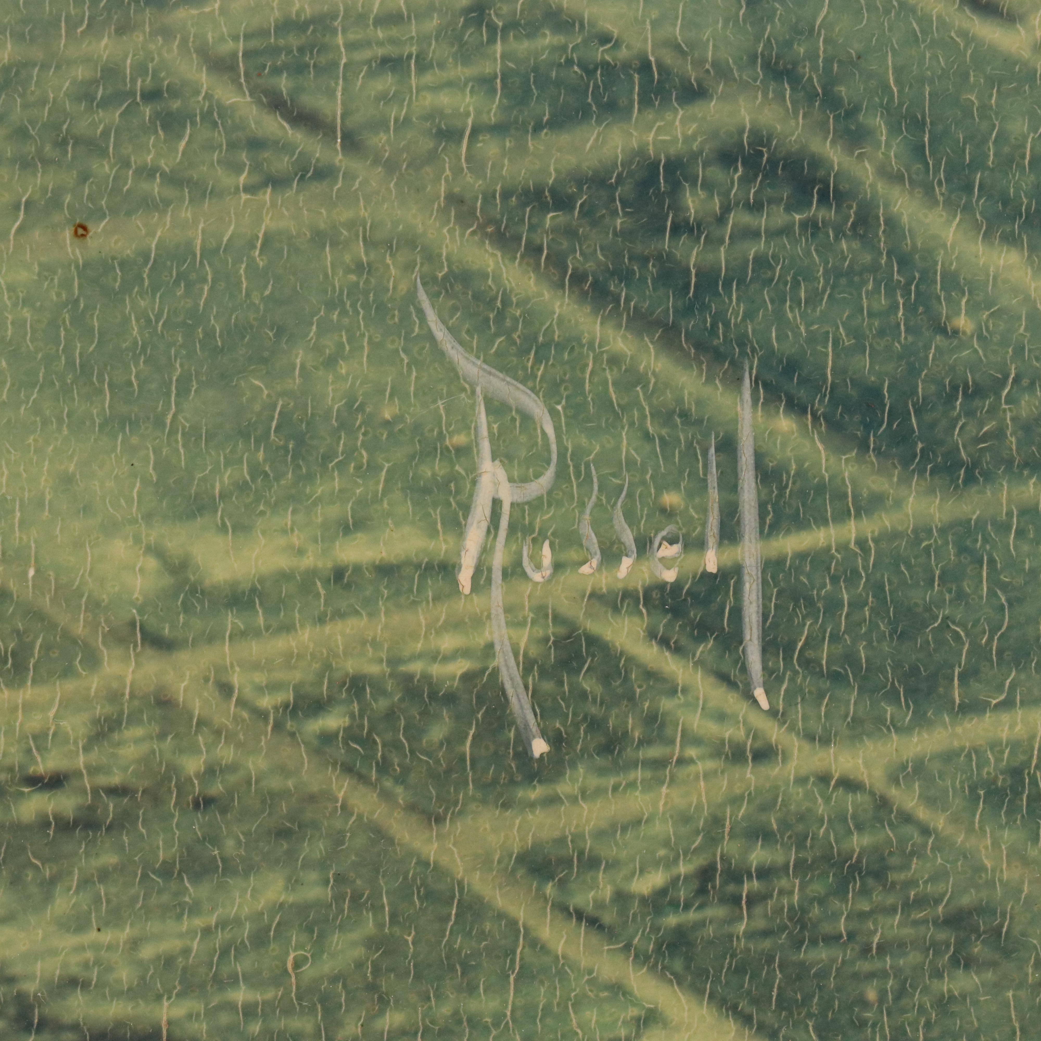 Chromogenic Color Portrait Photograph of Woman