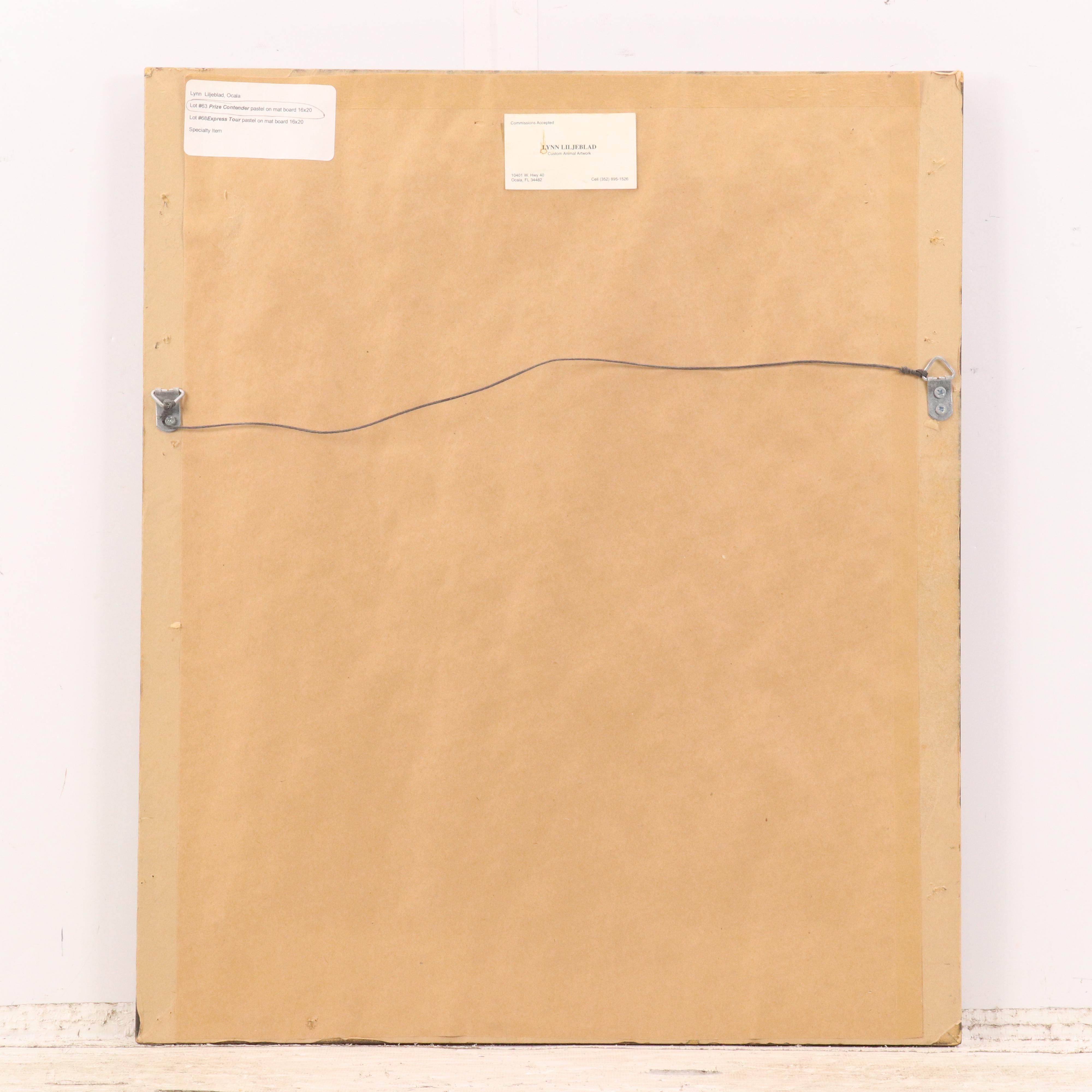 Lynn Liljeblad Equine Portrait Pastel Drawing "Prize Contender," 2003